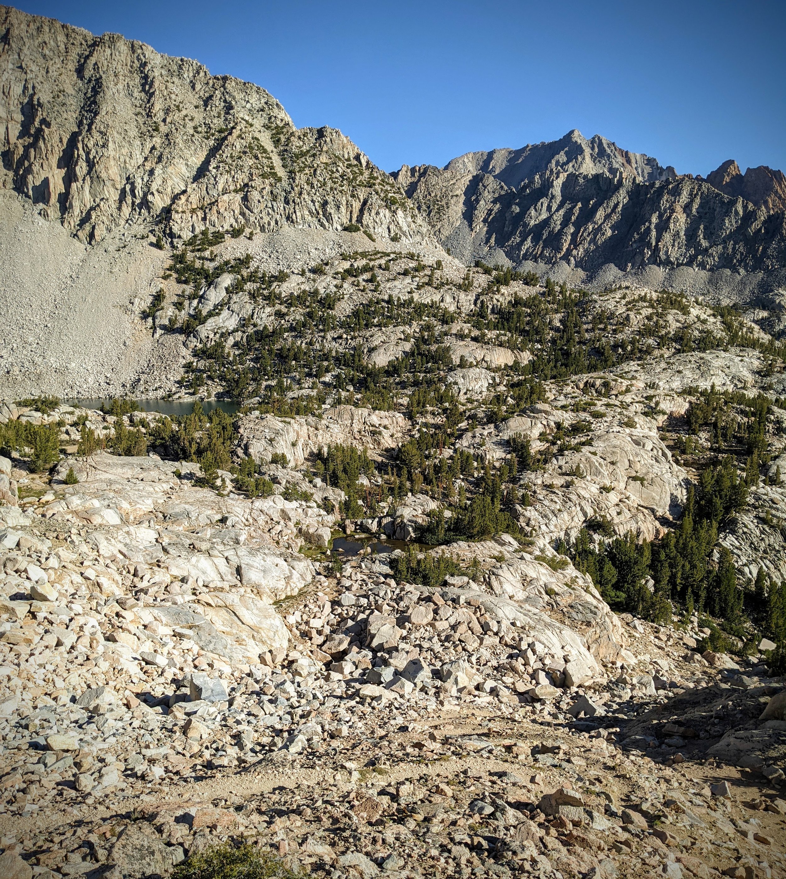 PXL_20210804_151633572.jpg