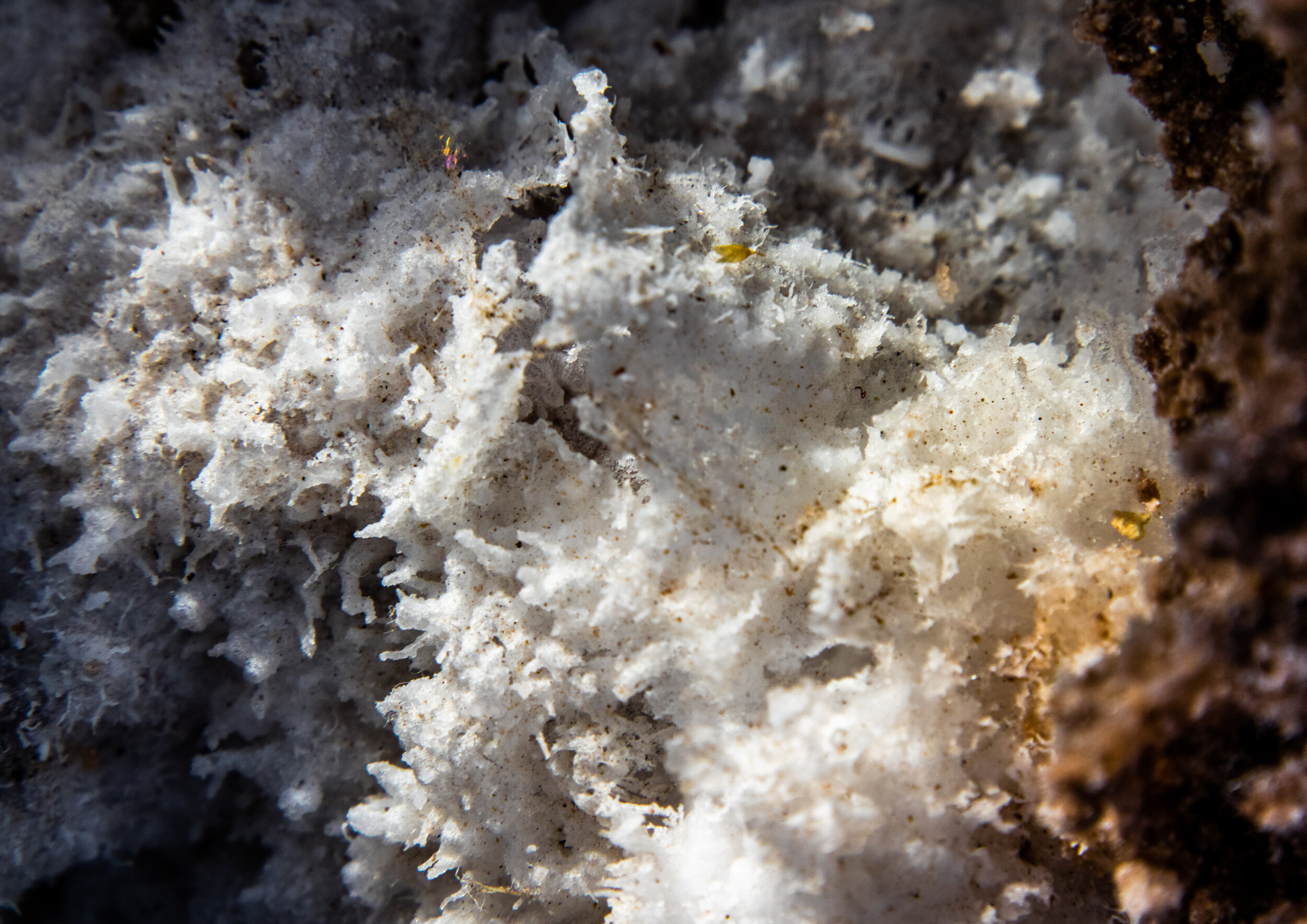 2019-11-21 Death Valley-33.jpg