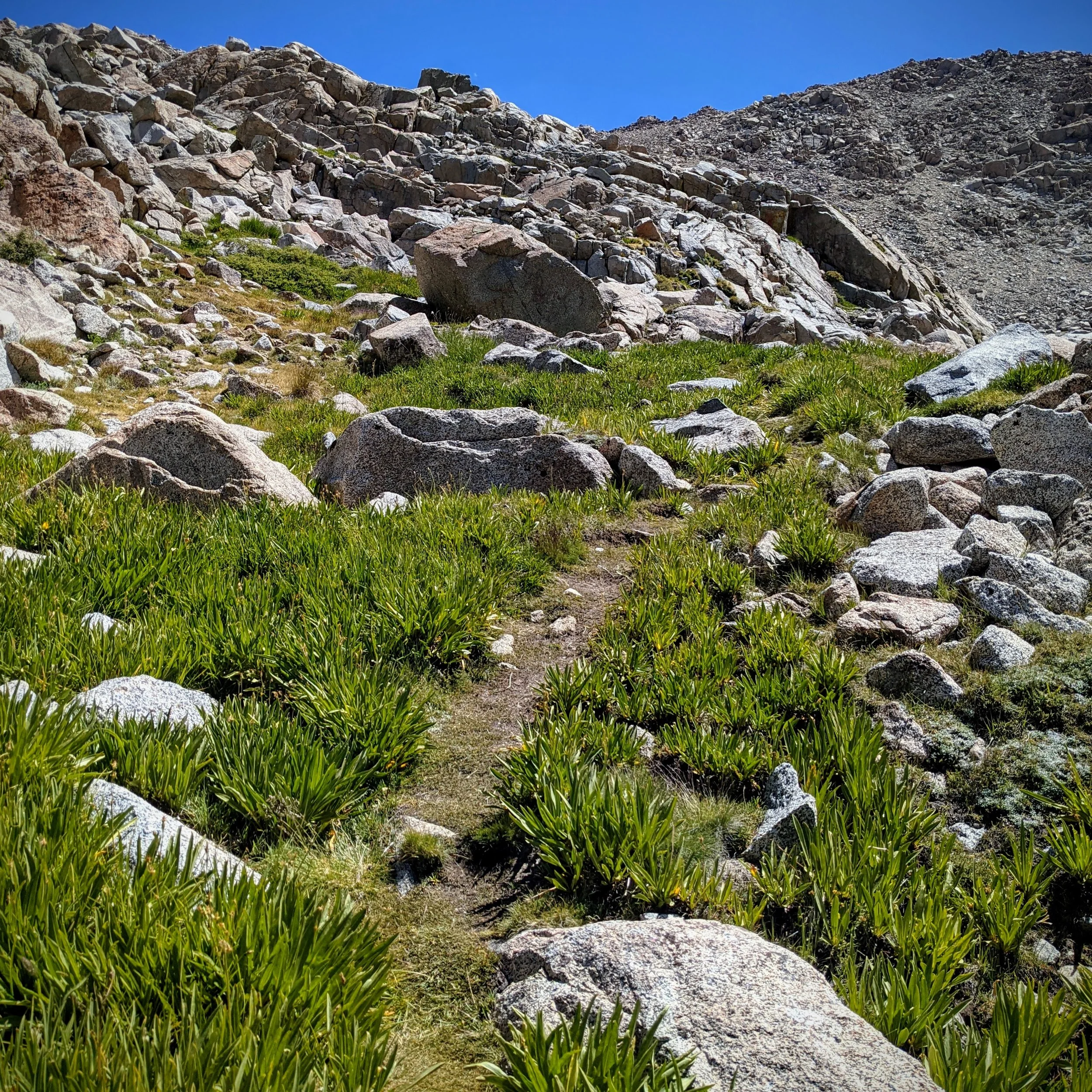 PXL_20210804_184641969.jpg