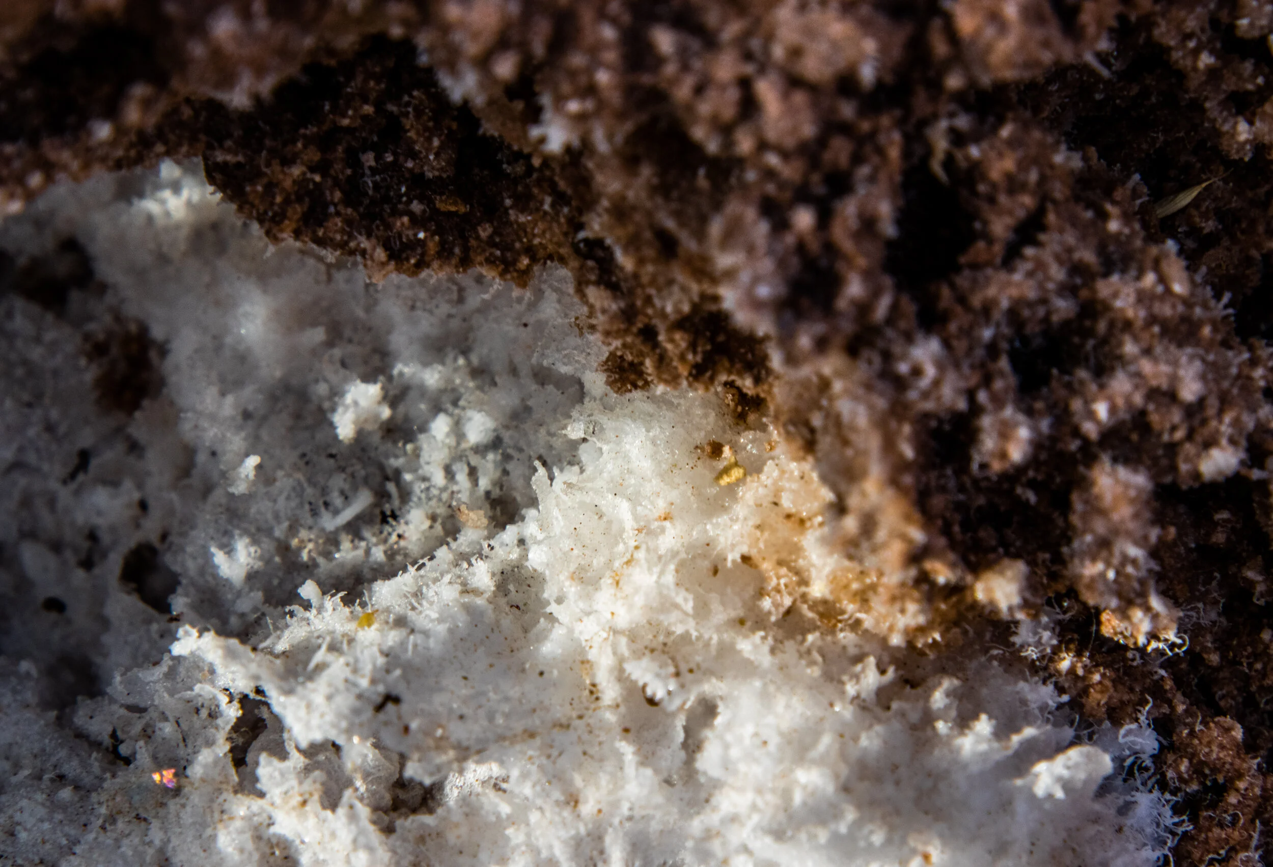 2019-11-21 Death Valley-32.jpg