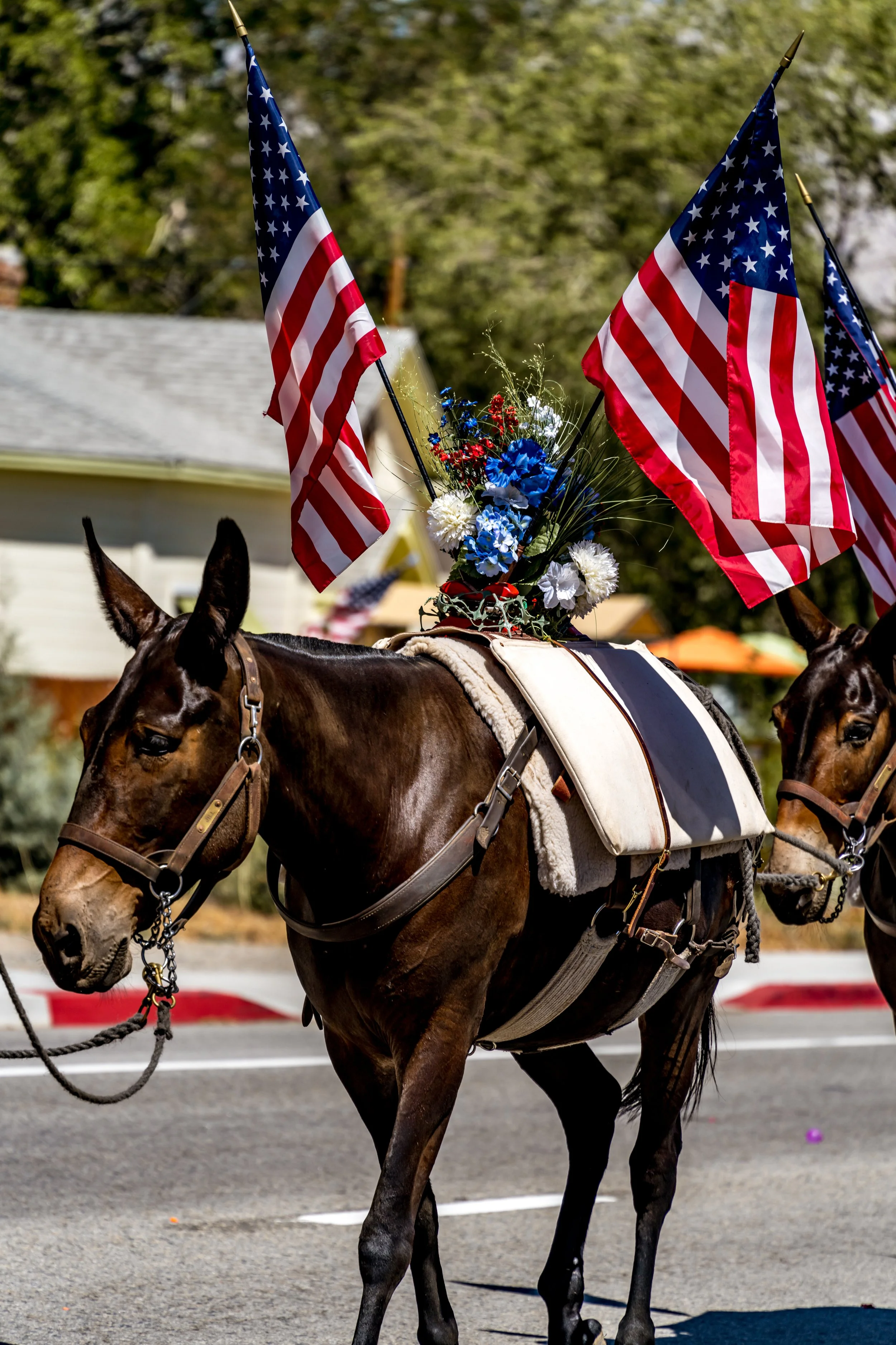 2021-07-04 --- 97.jpg