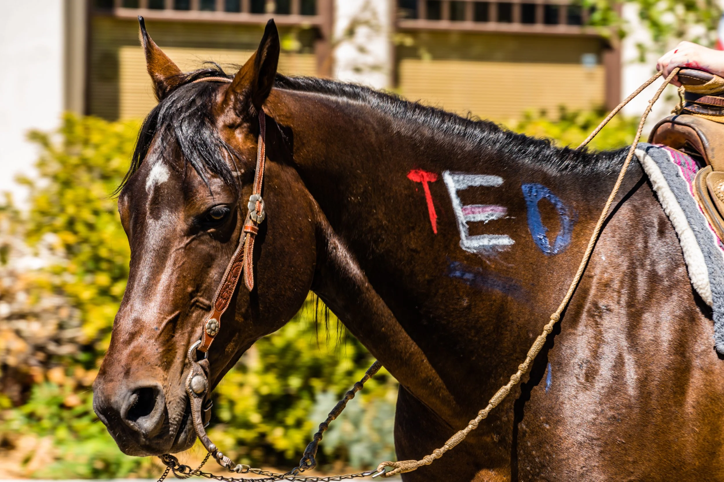 2021-07-04 --- 99.jpg