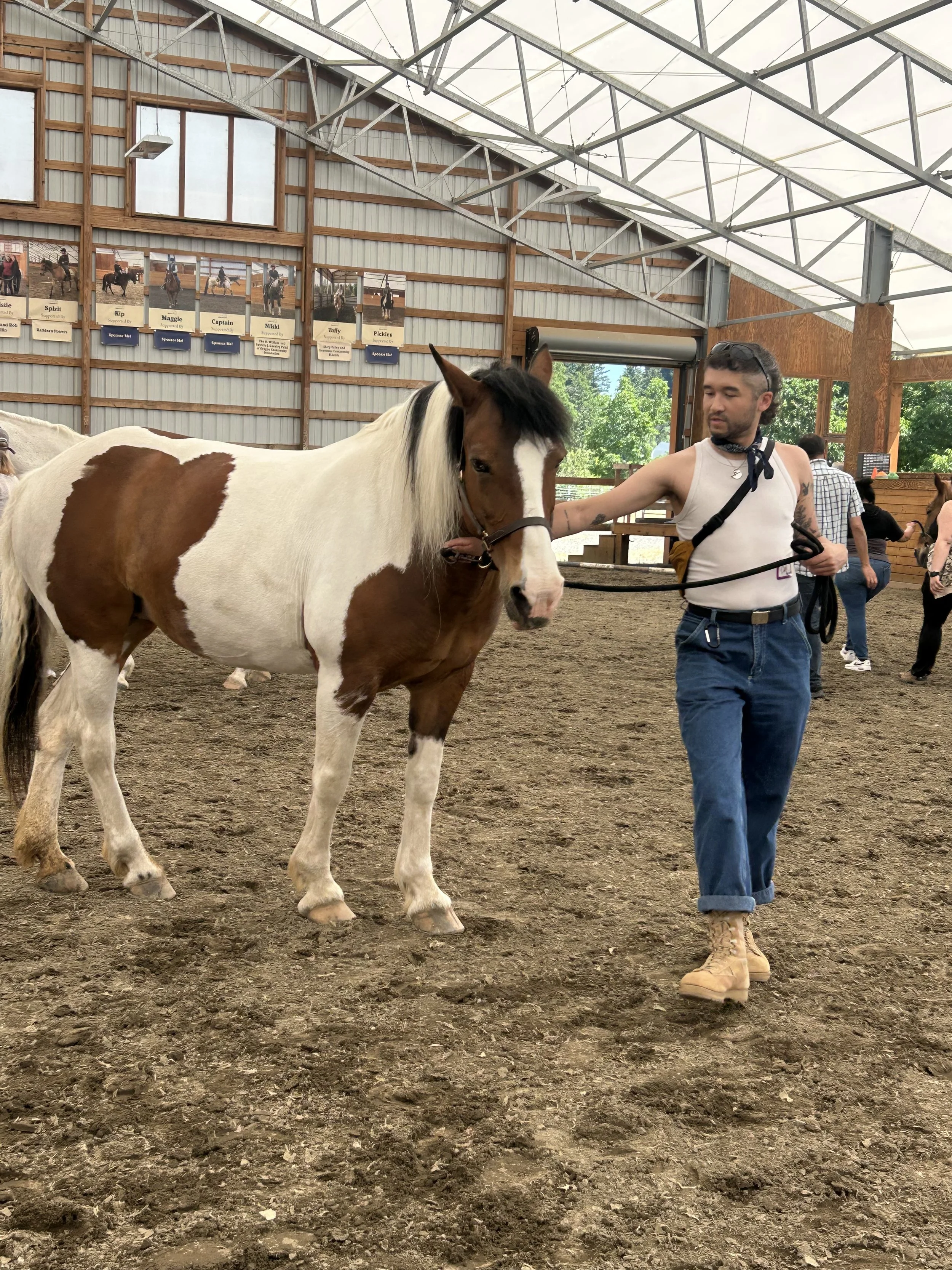 Equine Wellness Grant 
