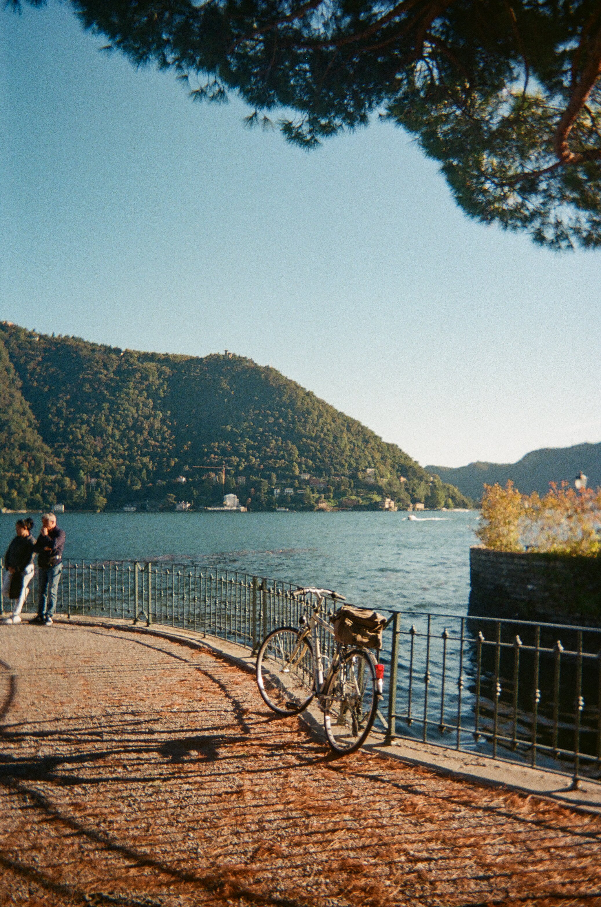 Film-8.jpg