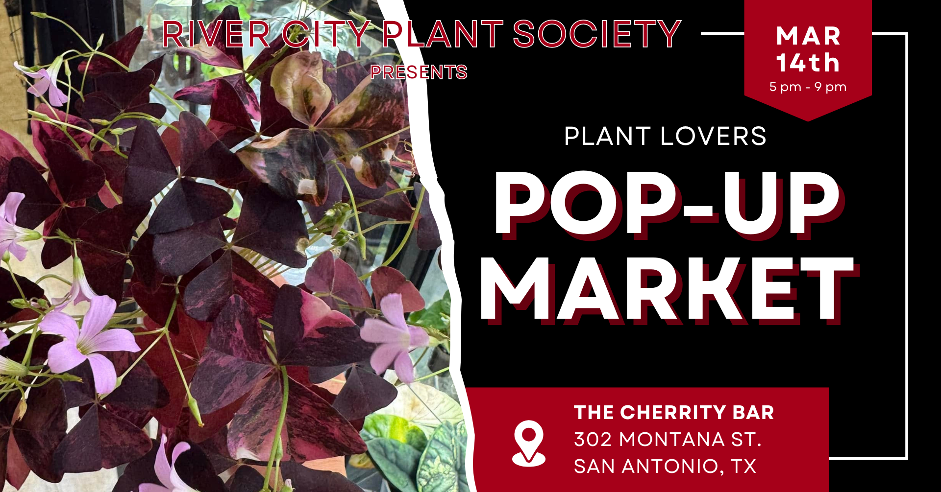 Plant Lovers Pop-Up and Market presented by River City Plant Society