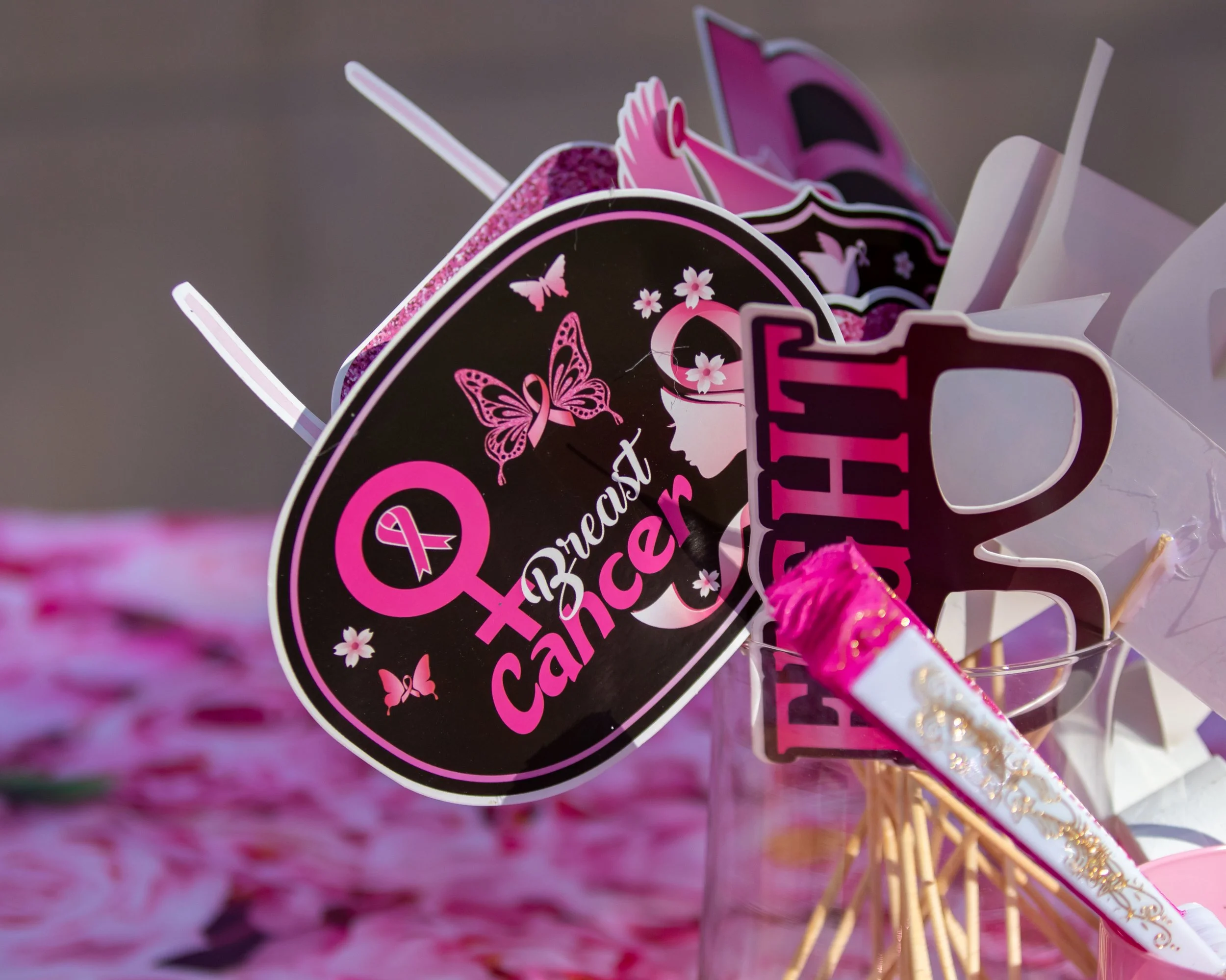 Pink Warrior PDX 2026 Zumbathon - Malaina Kinne Photography