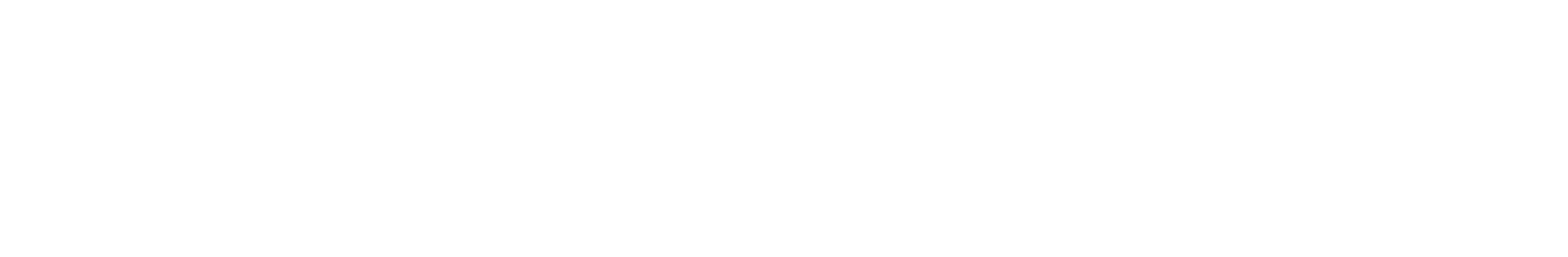 newsetonixlogo_white1.png