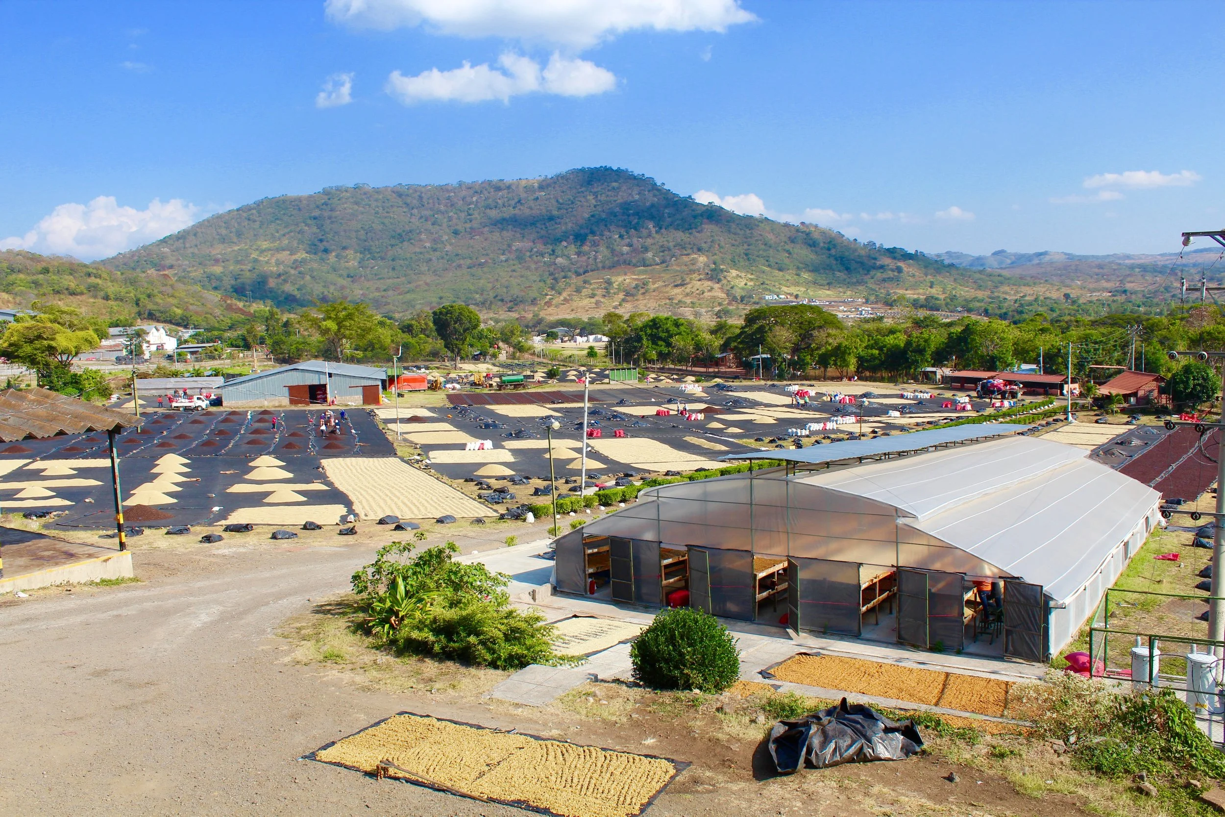 Dry Mill Don Esteban.jpg