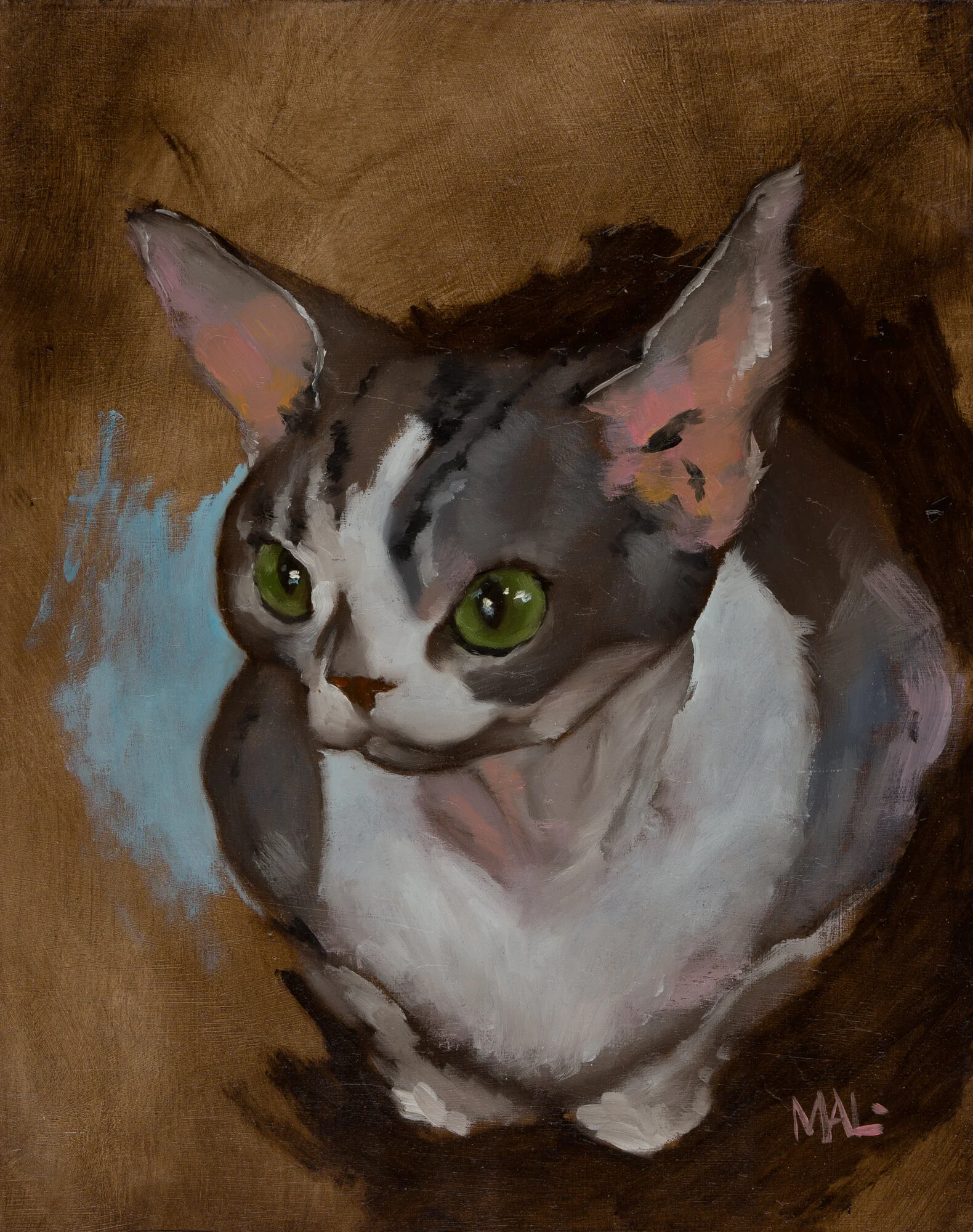 Cat Study