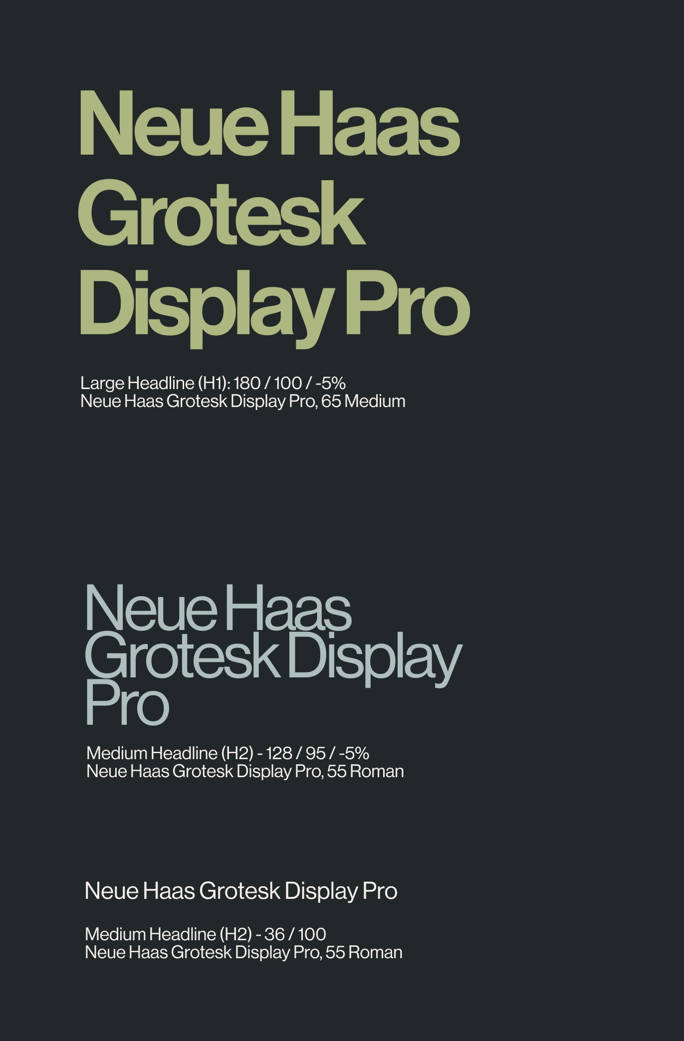 Example (Matta-Clark Section).png