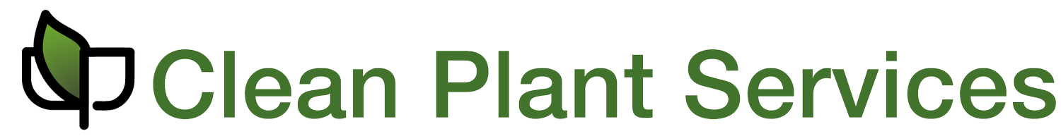 Clean Plant Services