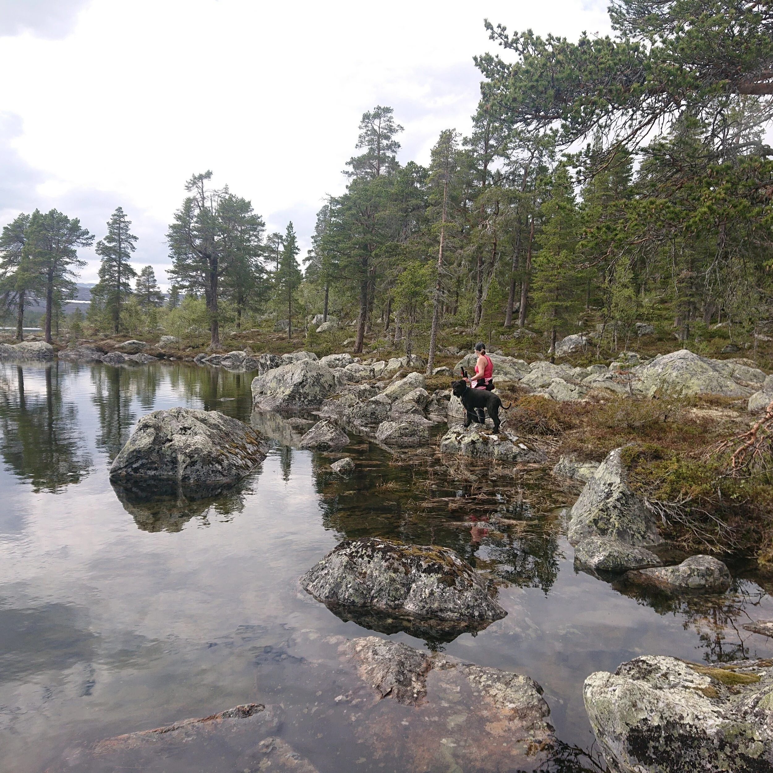From a stroll nearby Hävlingen in Töfsingdalen national park