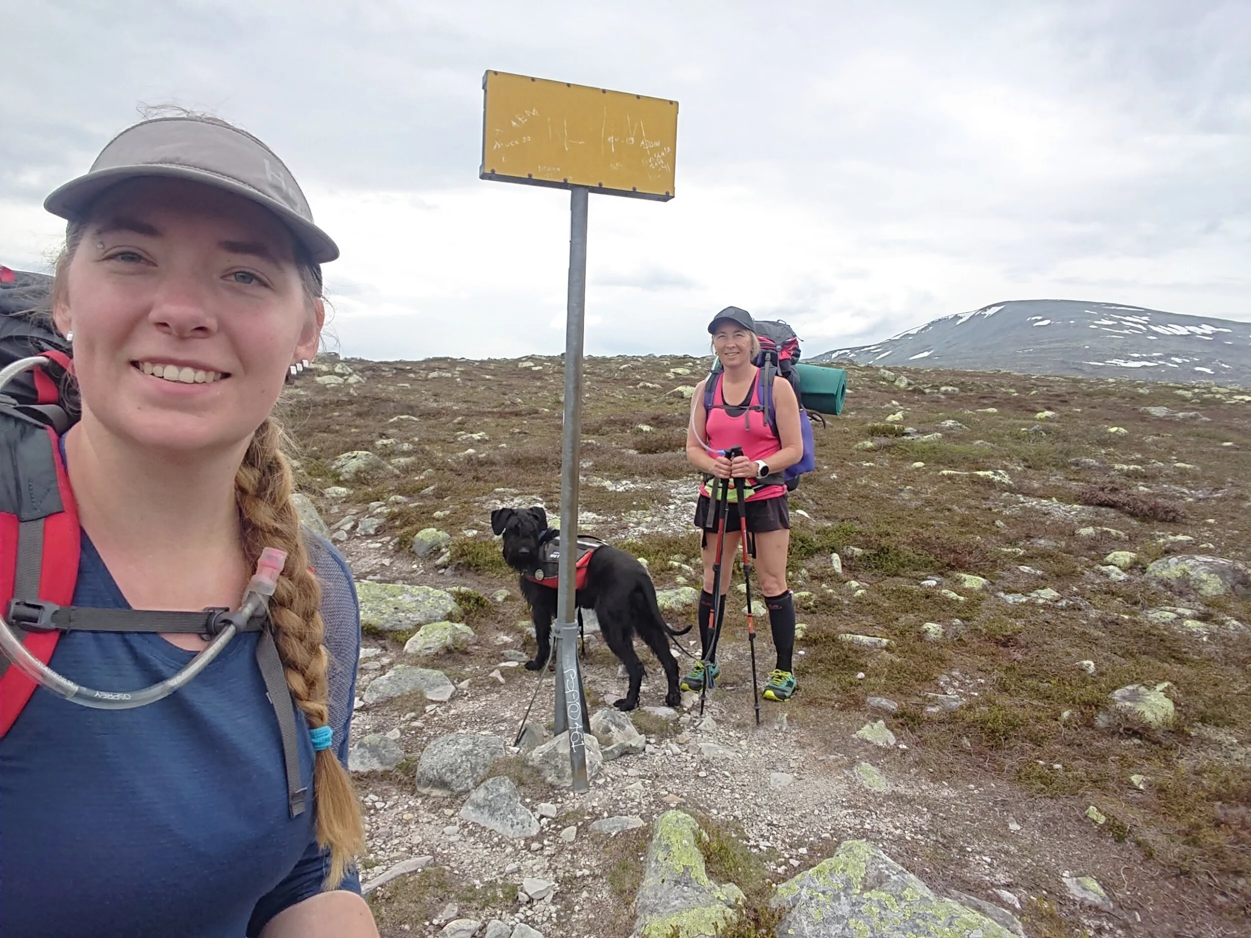 "Hey Uma, you are breaking the law!” (Norwegian border)