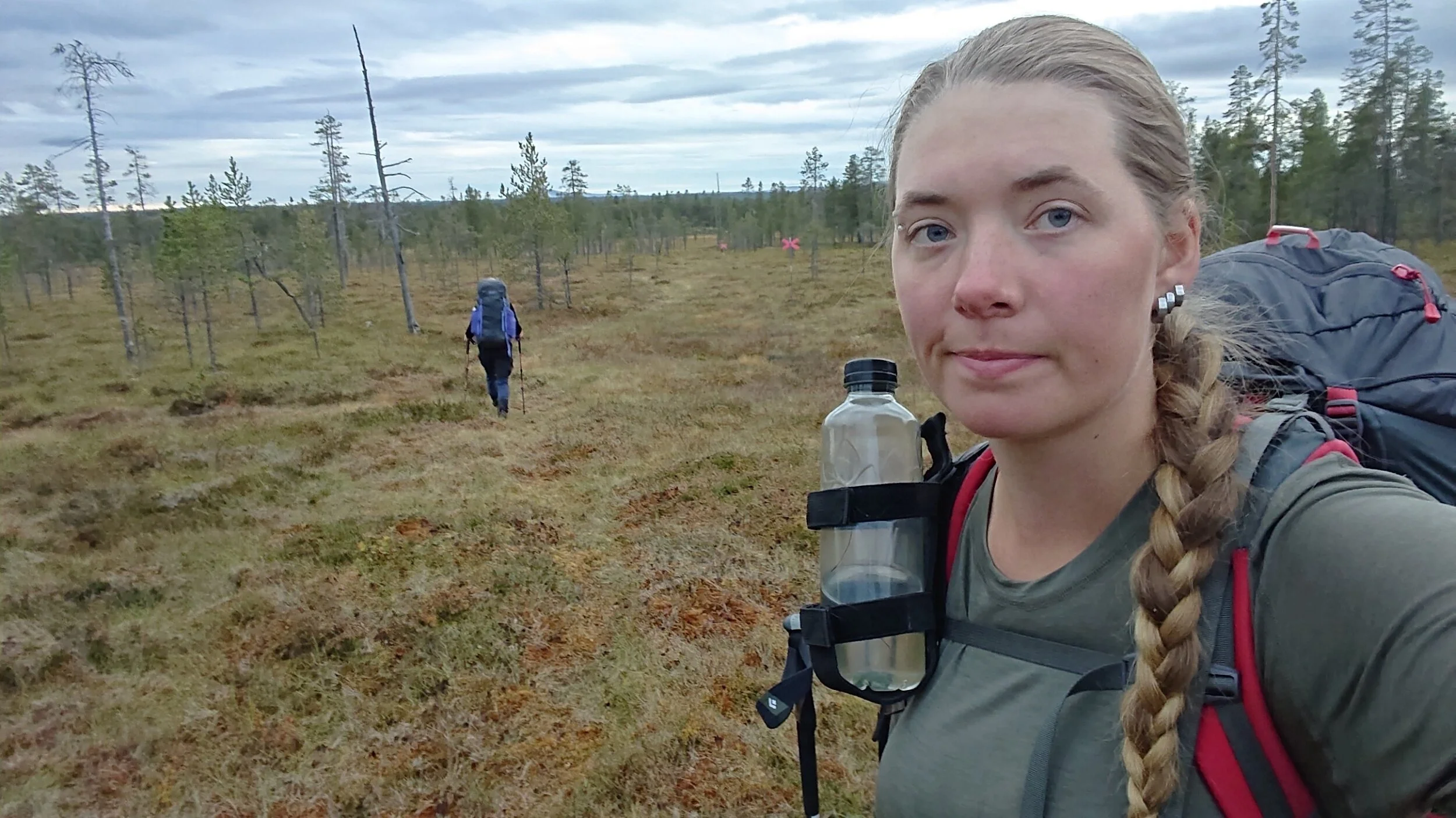 More bogs…