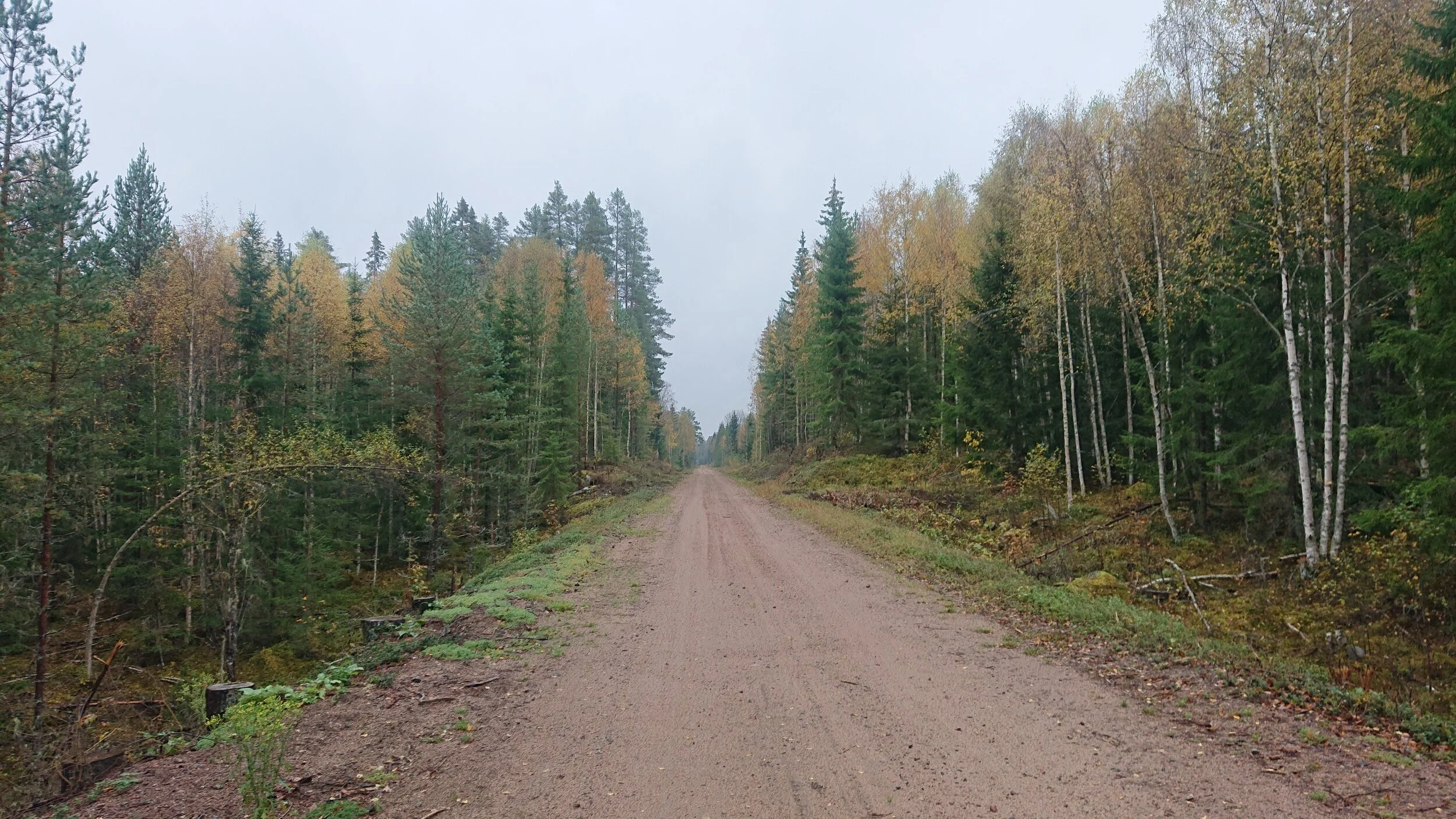 Today's trail.