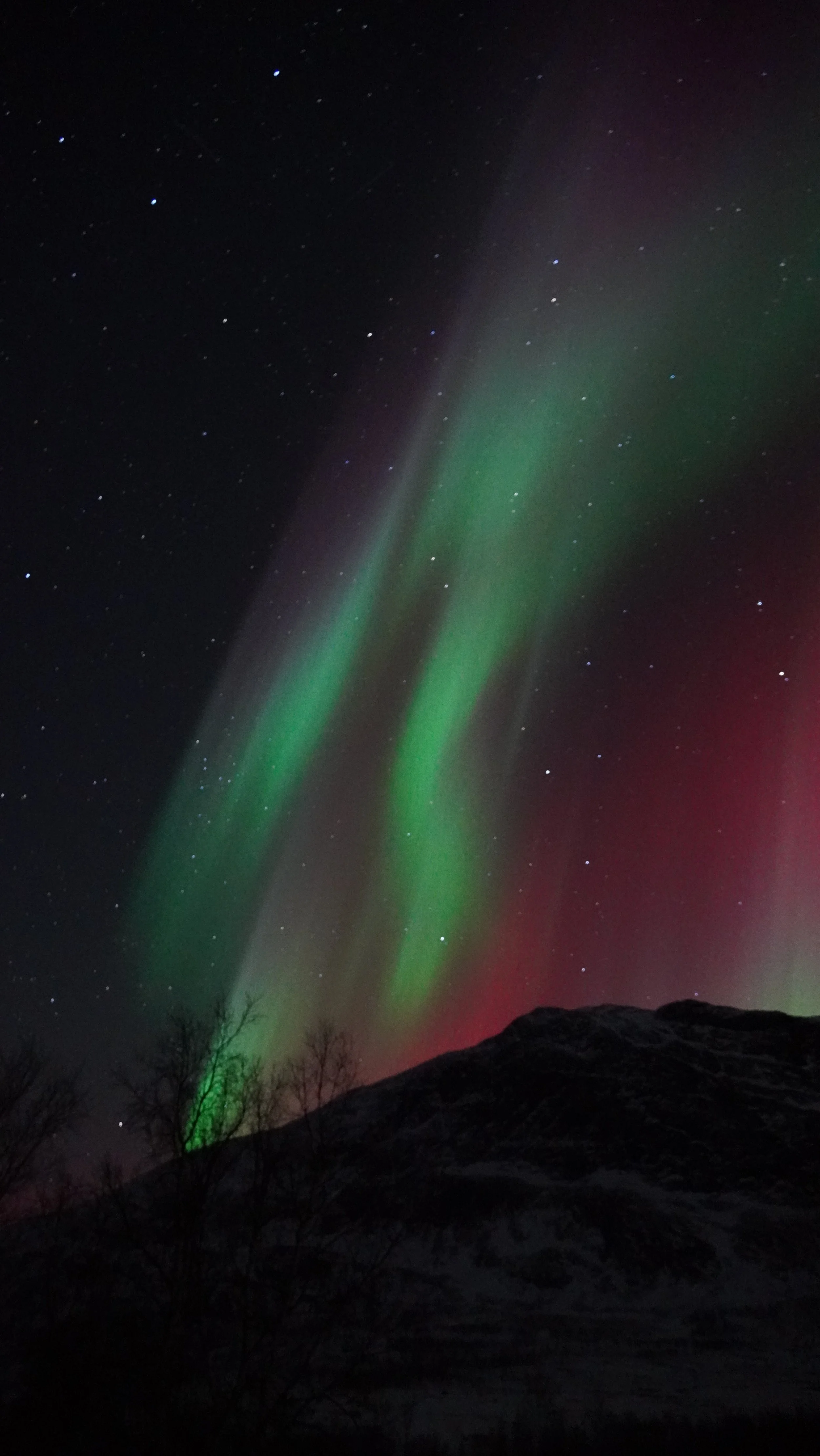How was Abisko? ❄️