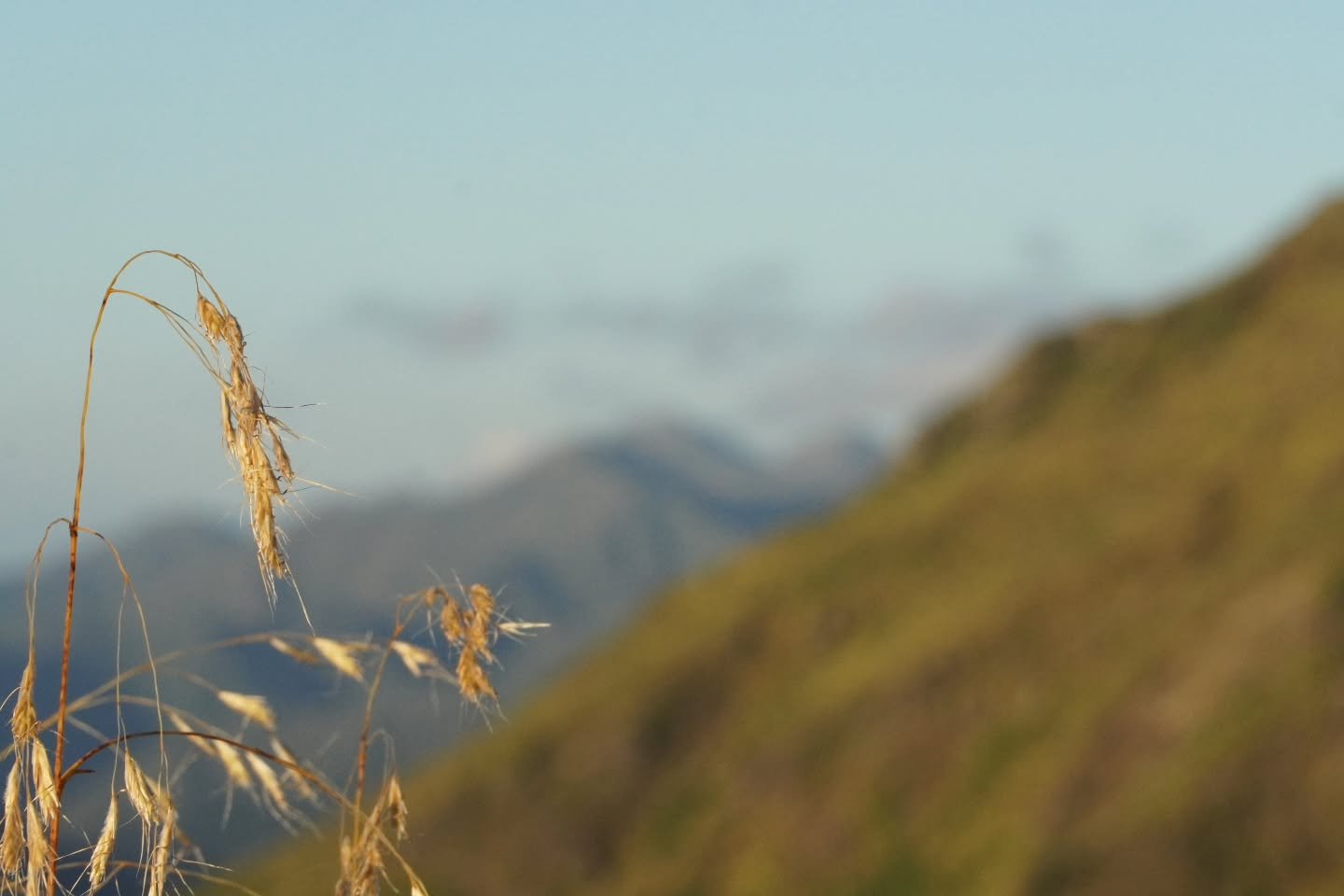 Waikanae - Palmerston North
143 km
23 Feb - 28 Feb (6 days)
If the South Island has the Richmond Ranges, North Island has the Tararuas.
The Tararua Range has a notorious reputation for severe mountain weather. Rainfall along the ranges varies fr