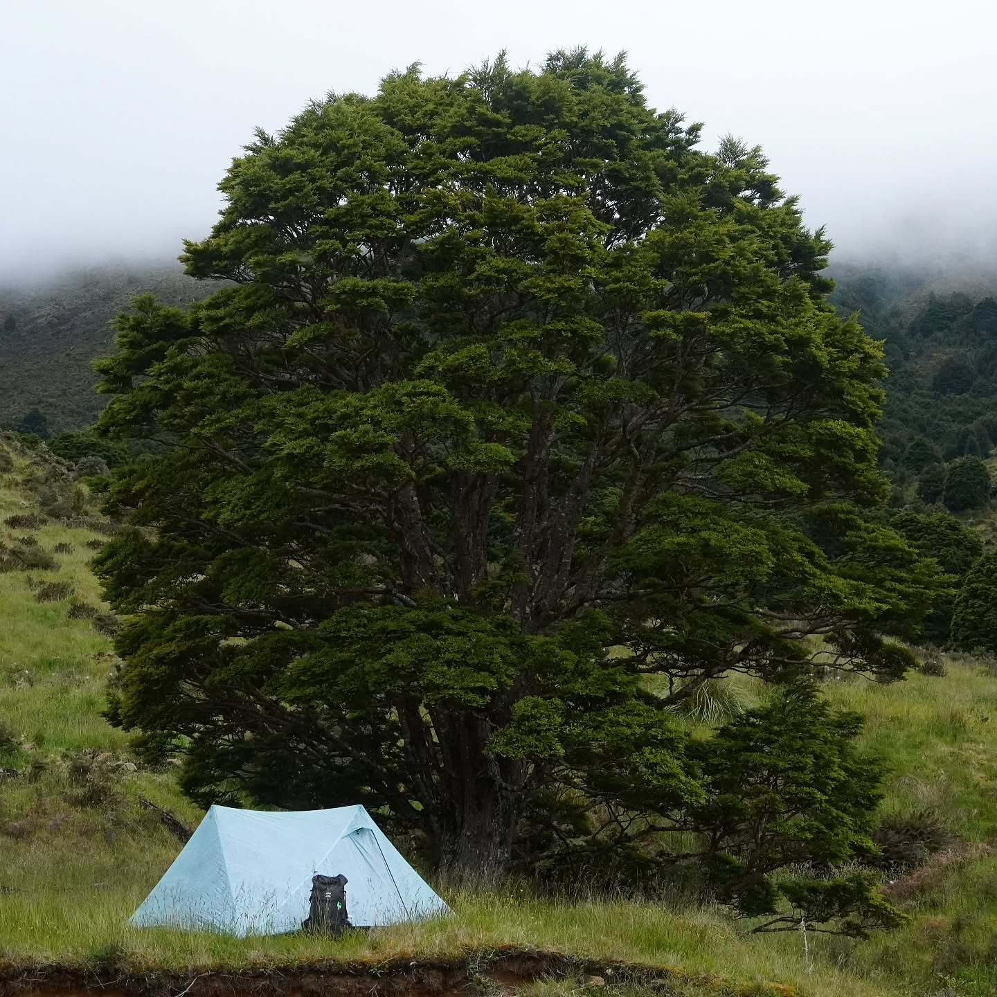 New Zealand Expenses 

One of the most common questions when going for a long-distance hike or going travelling is - How much does it cost? We have fiiiiinally put together all our expenses from our almost 6 months long trip for you! 

Keep in mind t