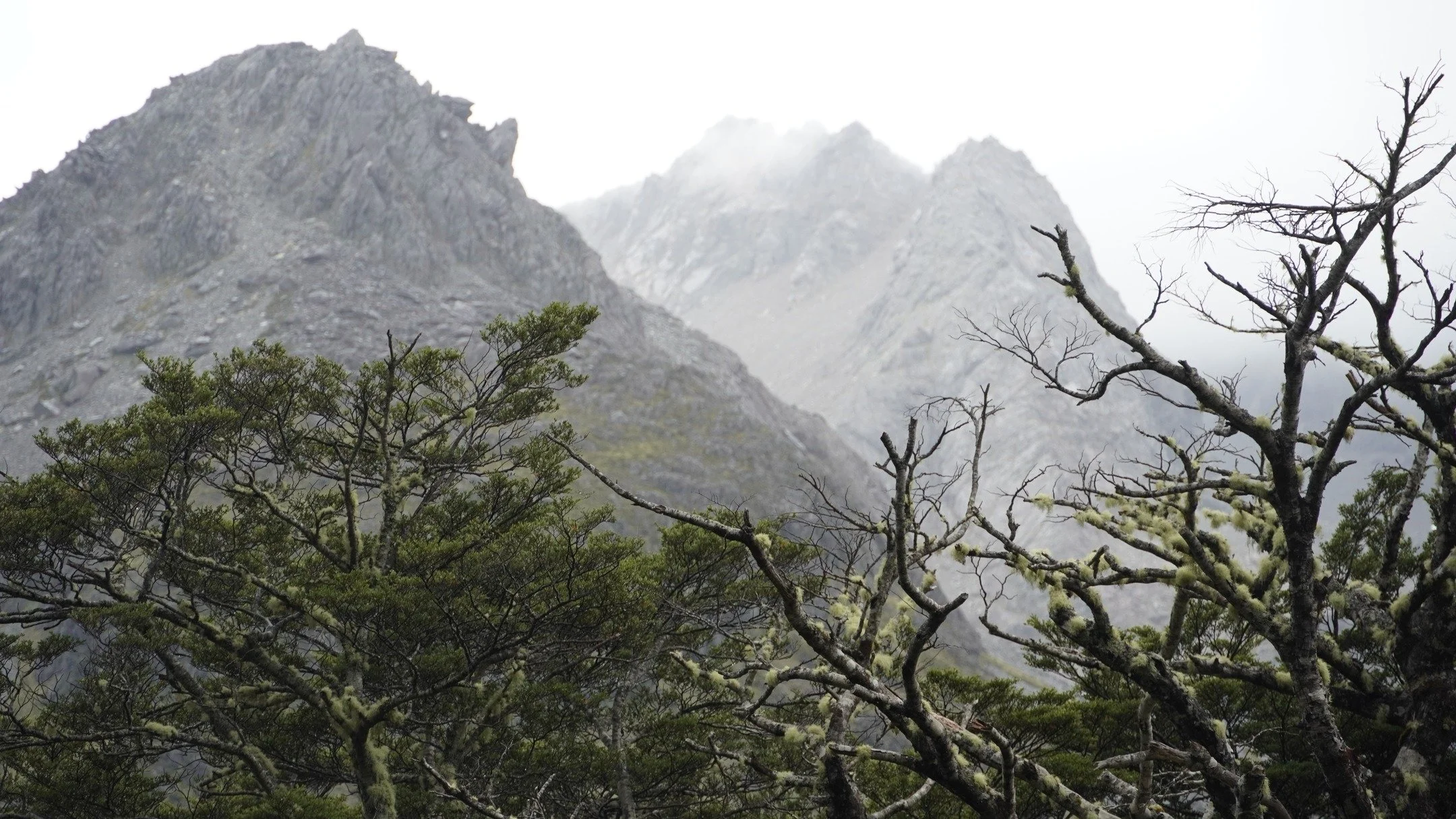 &ldquo;Why did you decide to walk Te Araroa northbound (NOBO)?&rdquo; is a question that you get quite often when you have decided to walk the trail NOBO. But why is that? 

Well, we decided to dedicate a blog post to answering that question! If you'