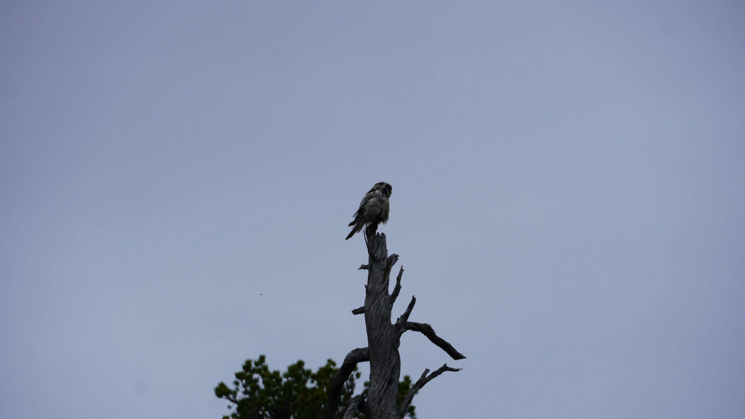 DSC05151.JPG