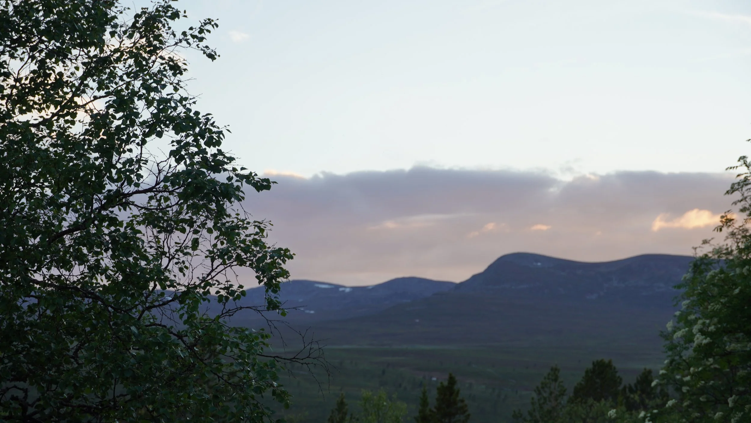 DSC05208.JPG