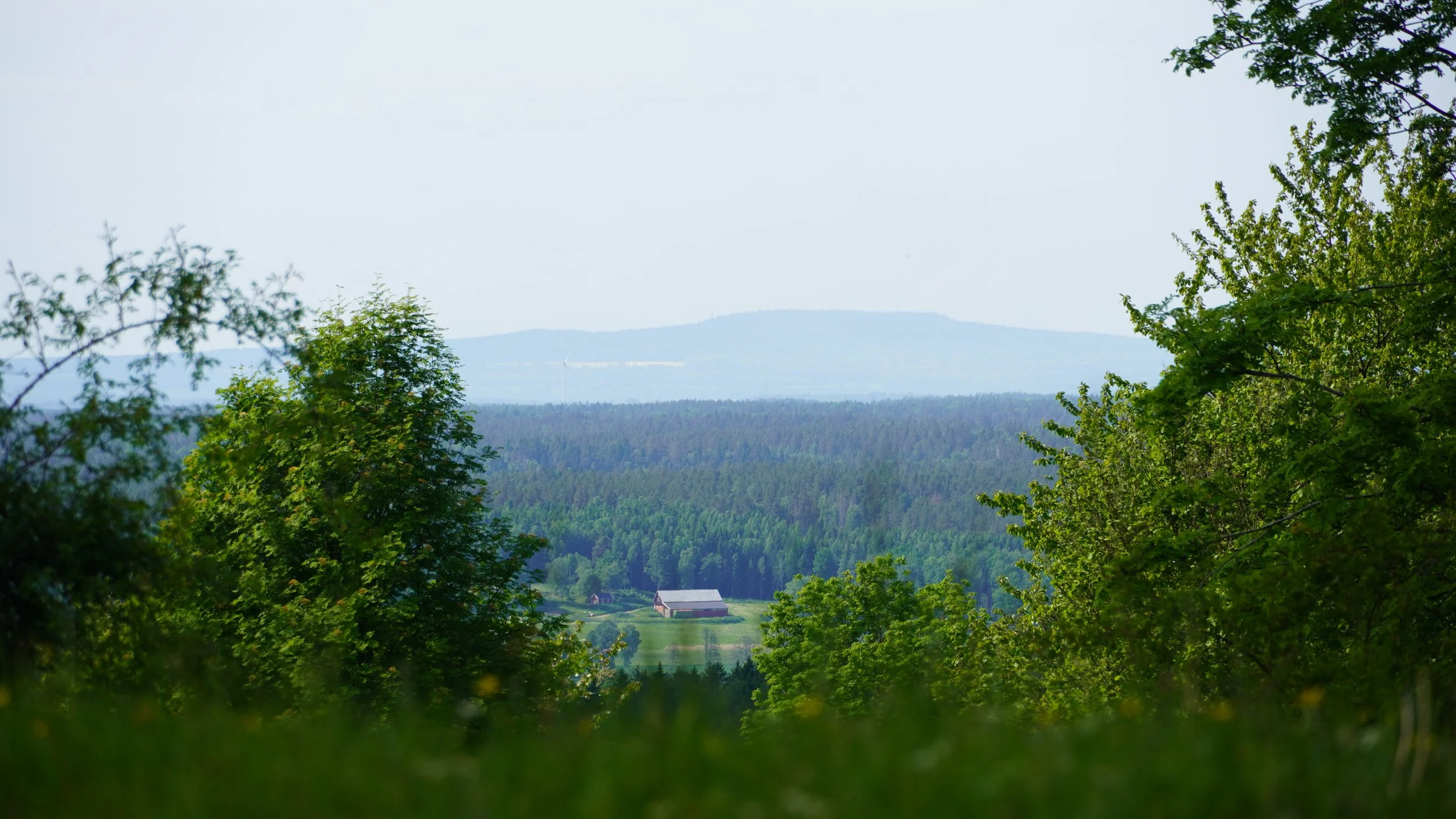 DSC04742.JPG