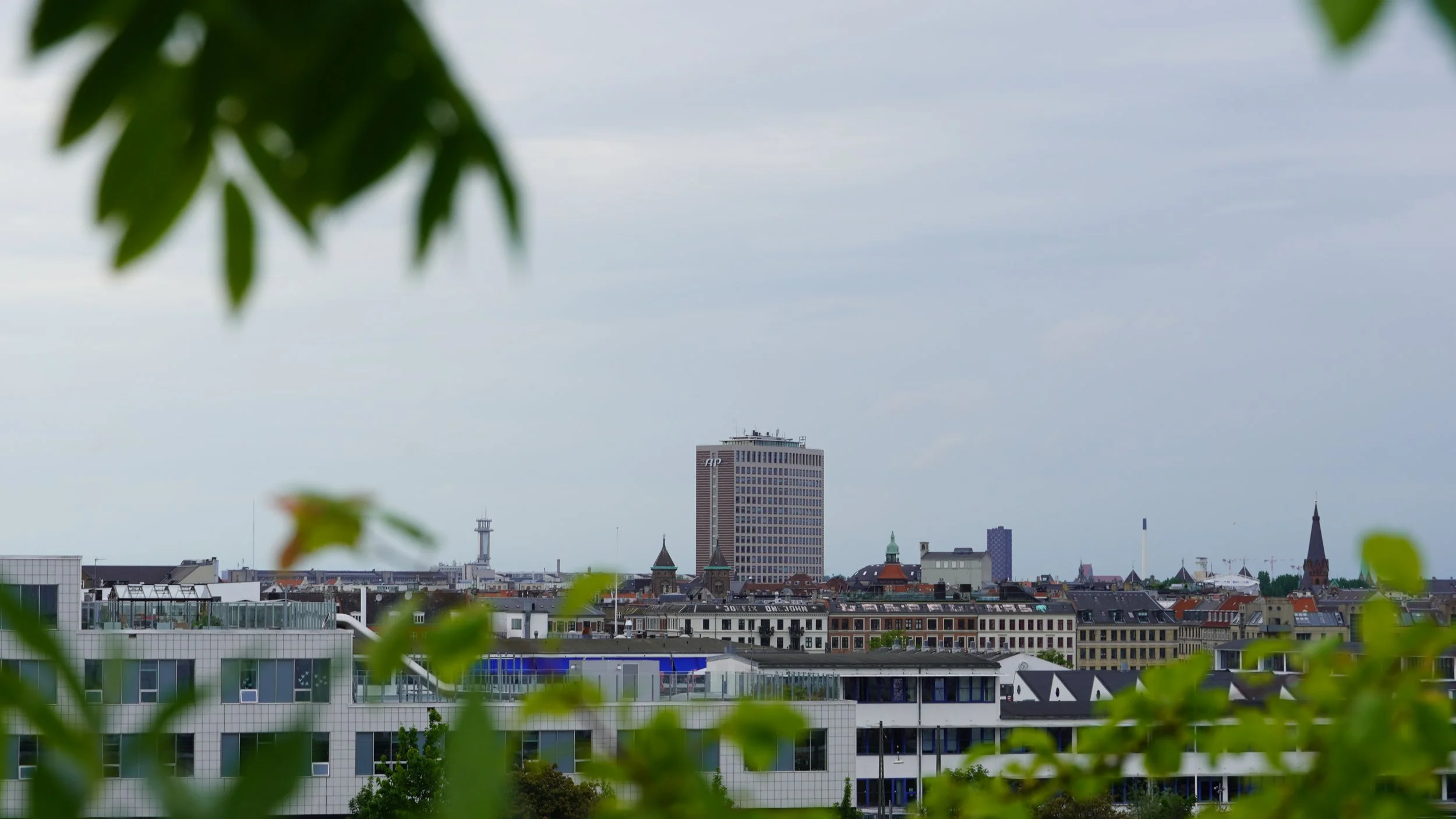 DSC04852.JPG