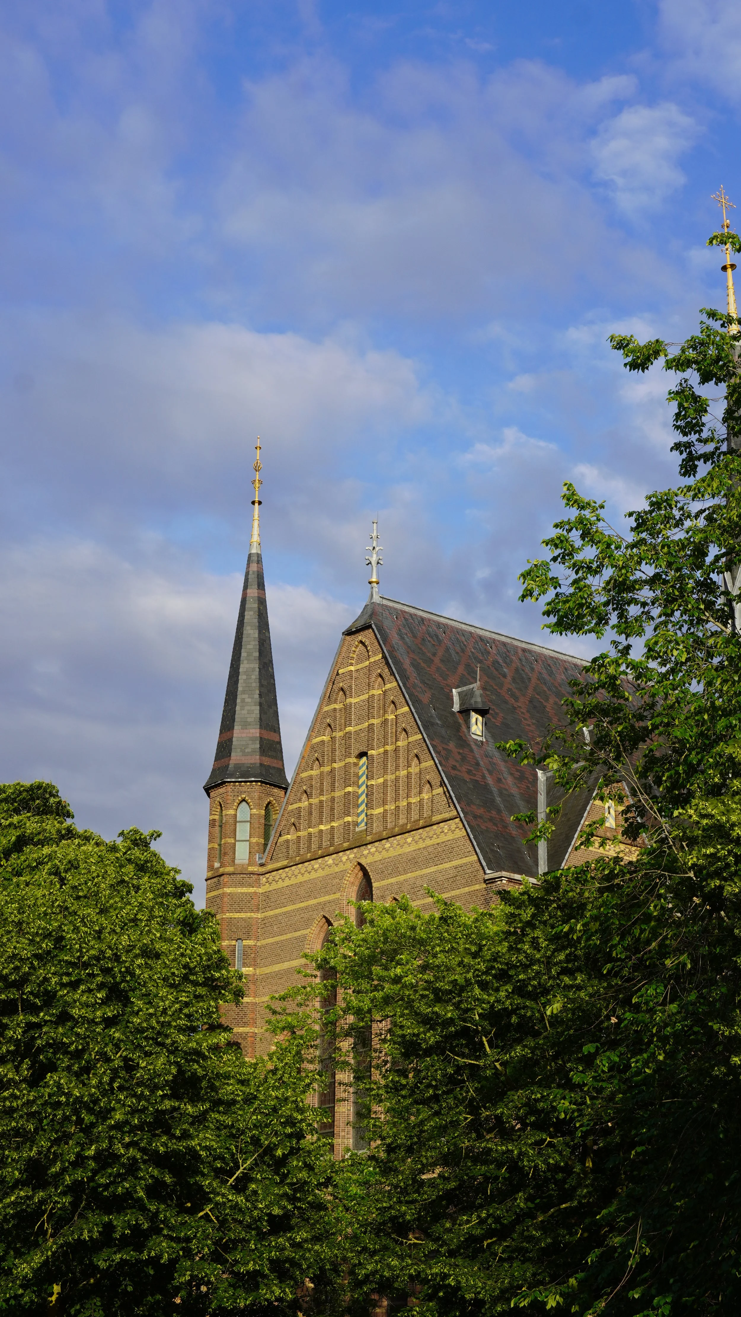 DSC04864.JPG