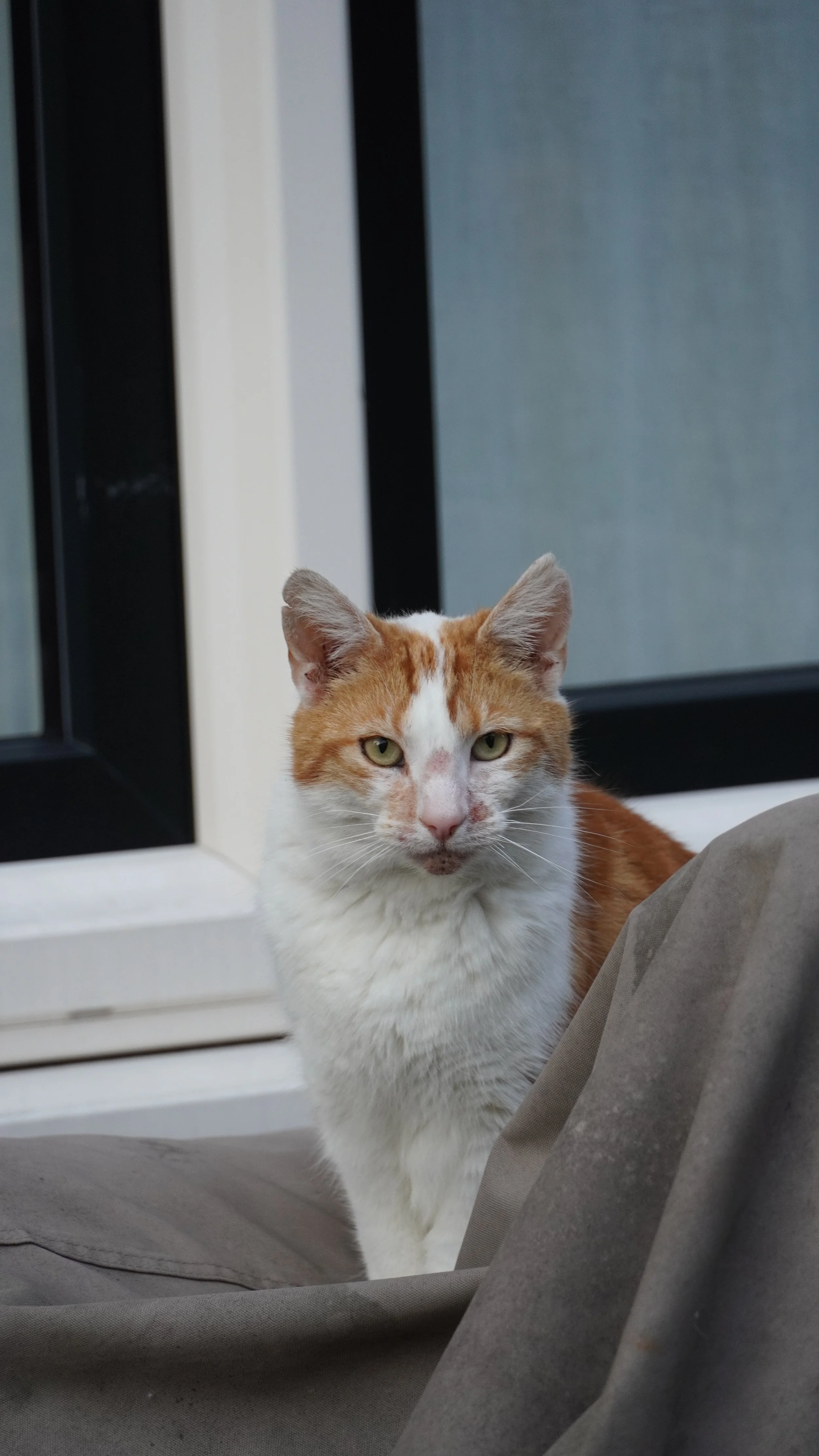 DSC04873.JPG