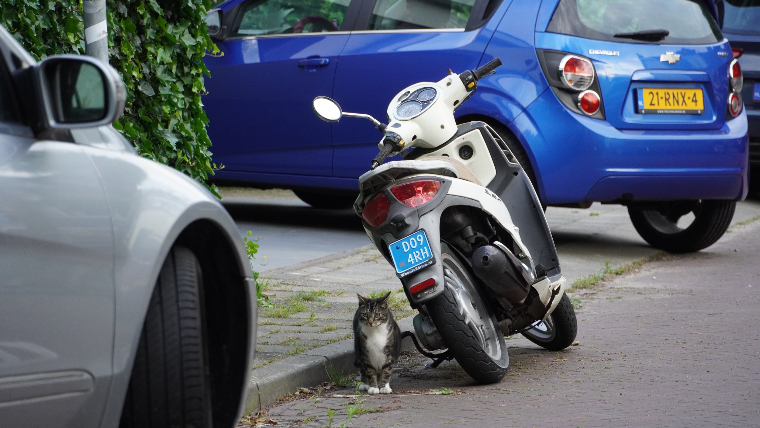 DSC04876.JPG