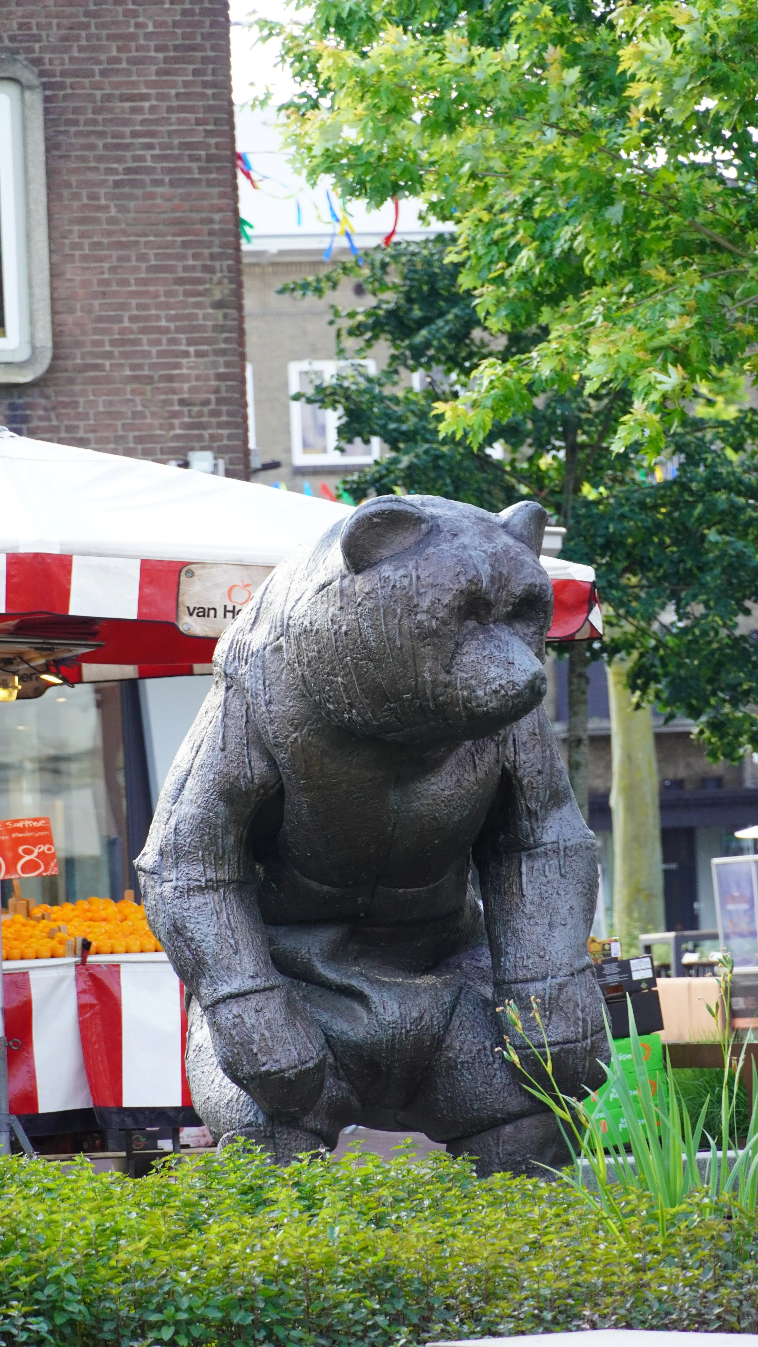 DSC04997.JPG