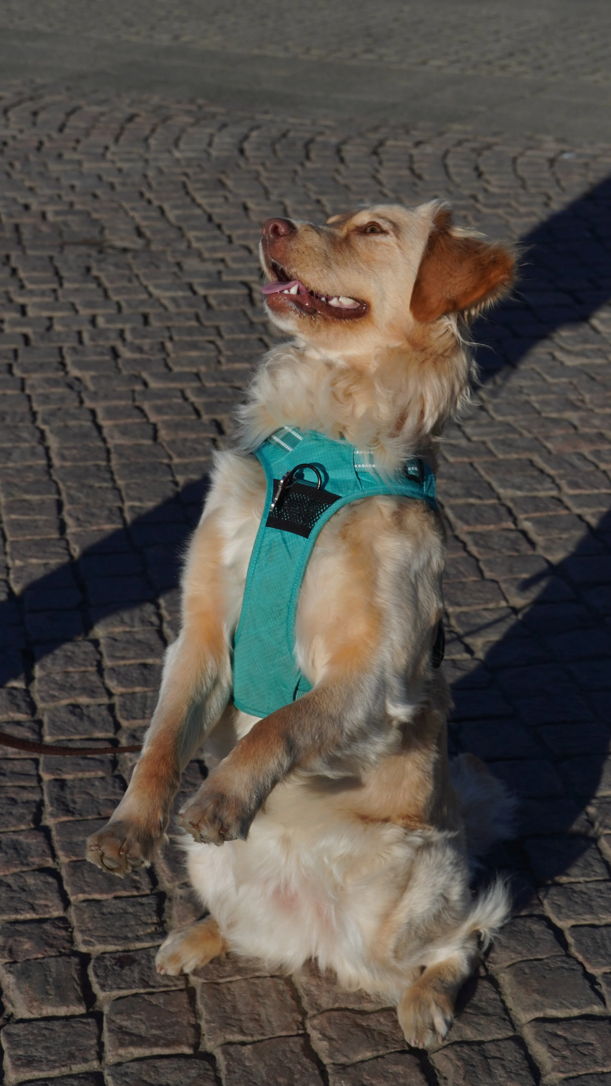 DSC05016.JPG