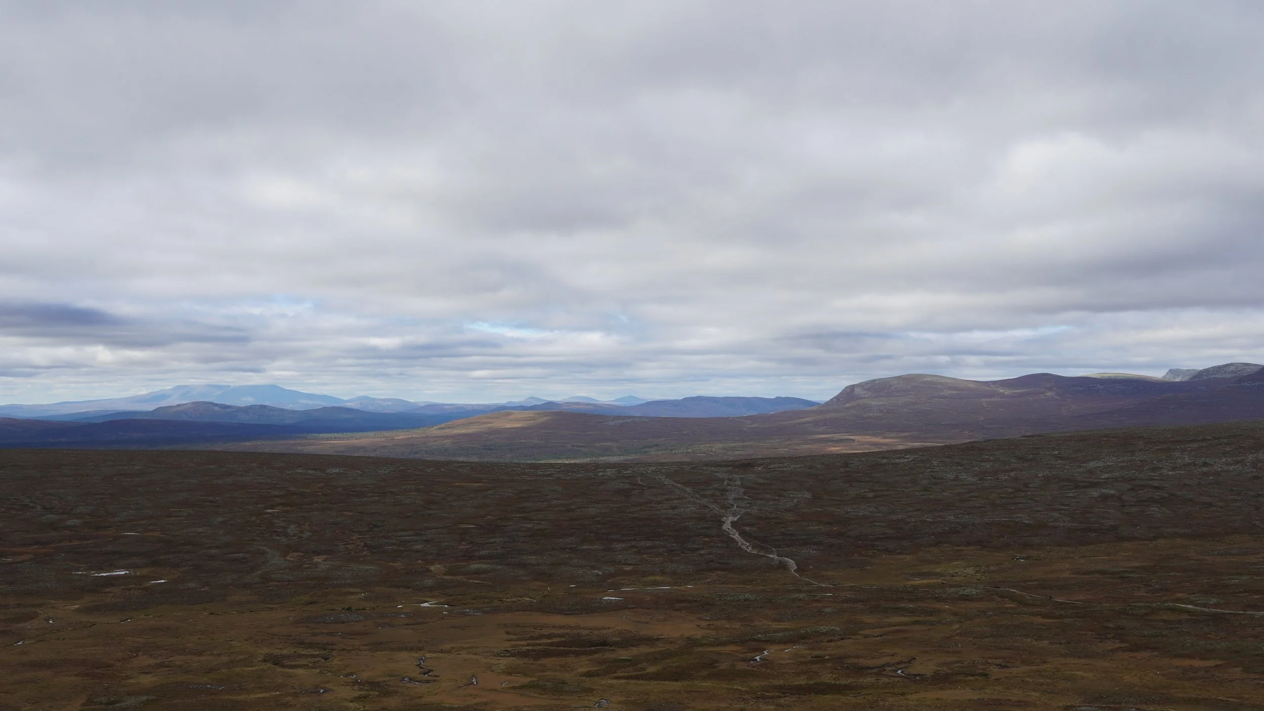 DSC05760.JPG