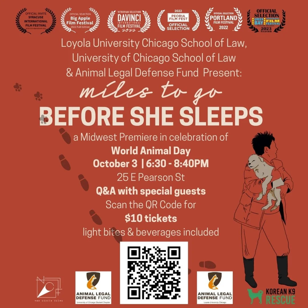 In just 3 weeks, we celebrate #WorldAnimalDay in Chicago with the Midwest Premiere of our film😎
Many🙏to the @aldfstudentchapters at Loyola University Chicago and University of Chicago for making this happen!
We are honored to be bringing a sp