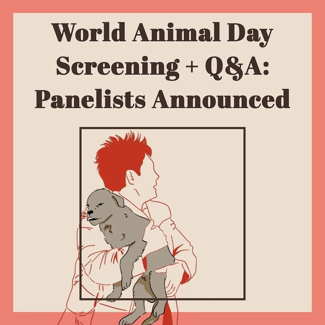 In celebration of #worldanimalday2023,  the #midwestpremiere of our film is happening in #Chicago one week from tomorrow with @saldf.loyola.chicago and @newcirclefilms. Many 🙏 to @tamagoyiiiiiiiiii and fellow student organizers for your tireless eff