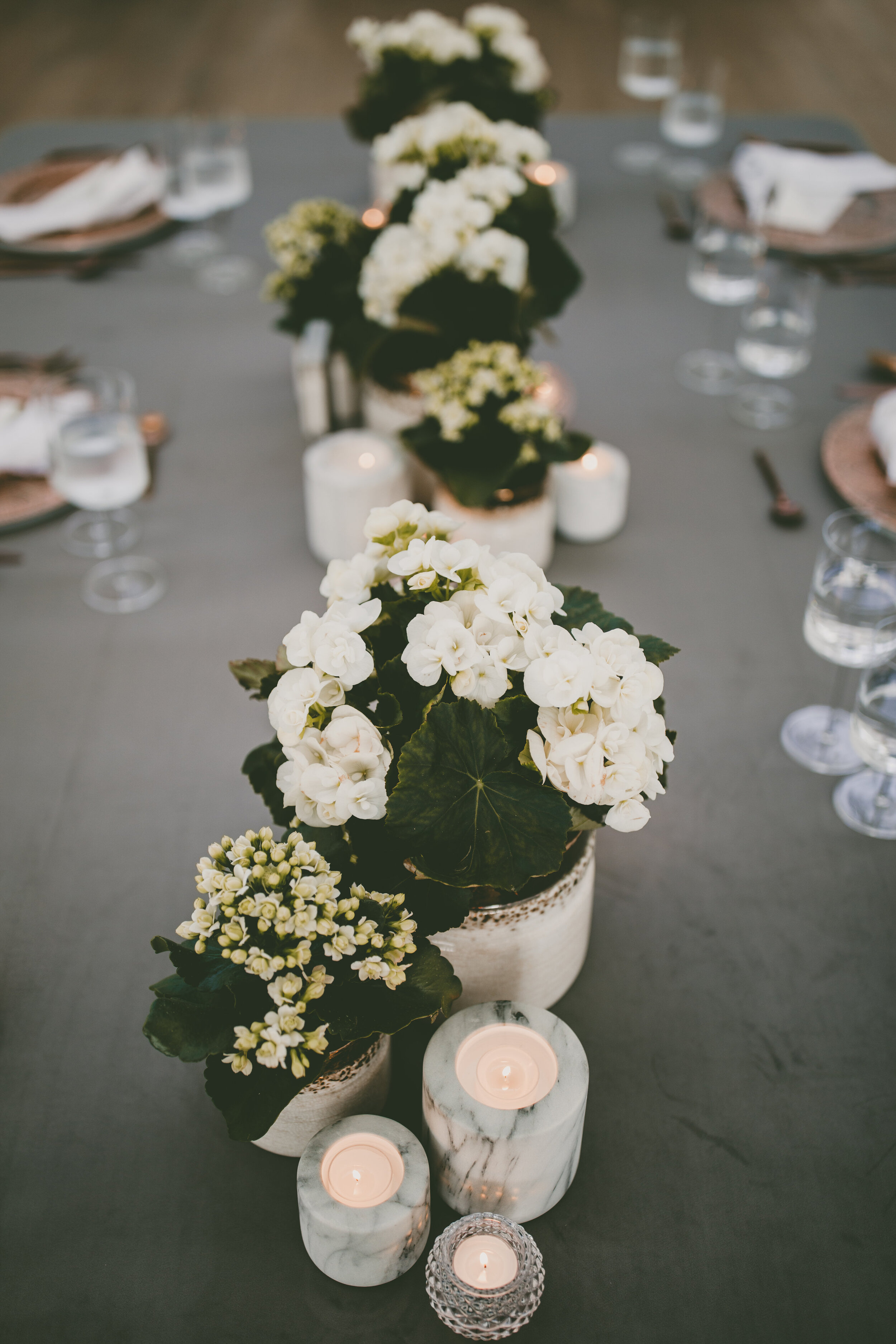 Sustainable Styled Wedding-0081.jpeg