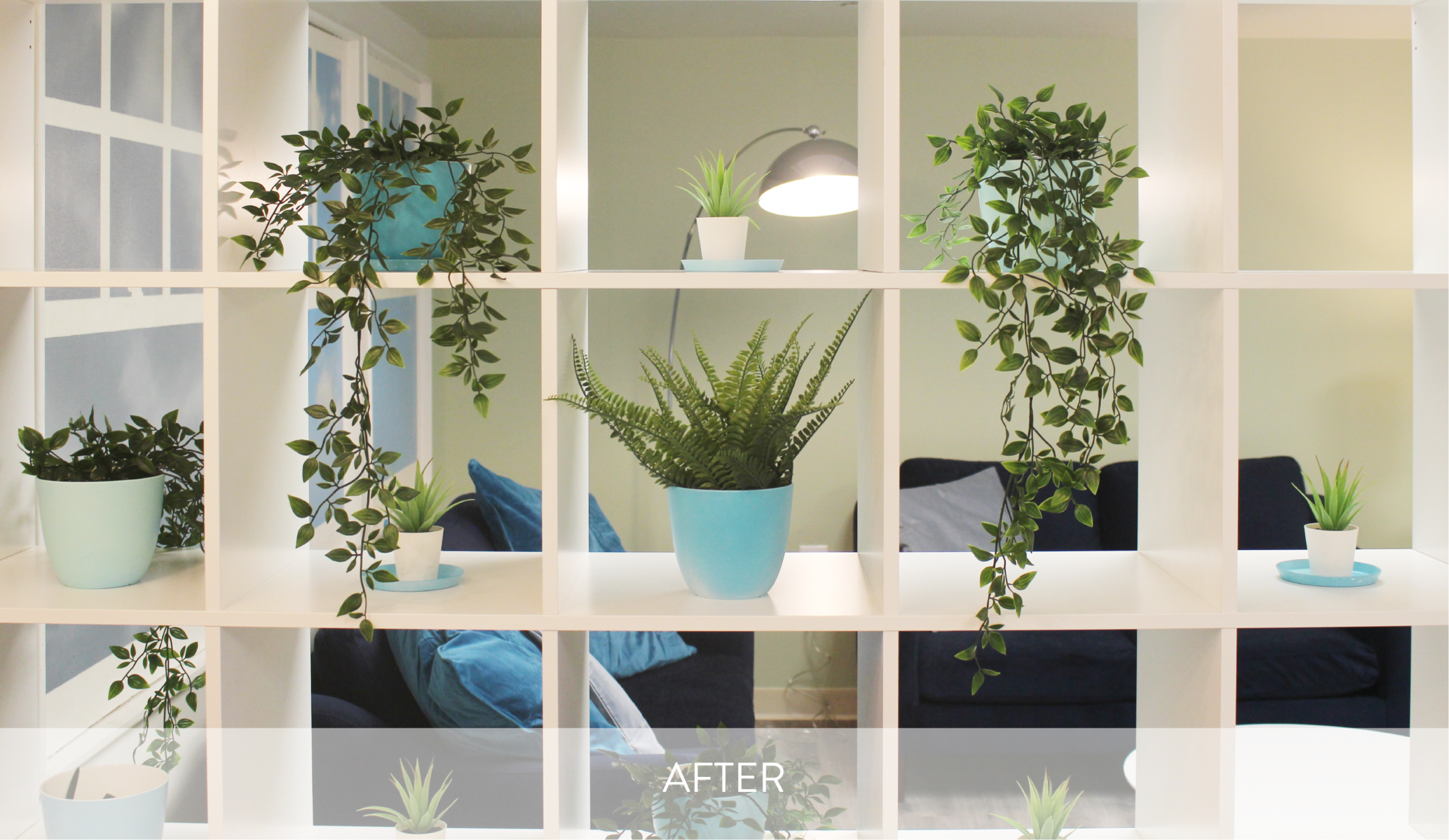 Barrier Free Living After