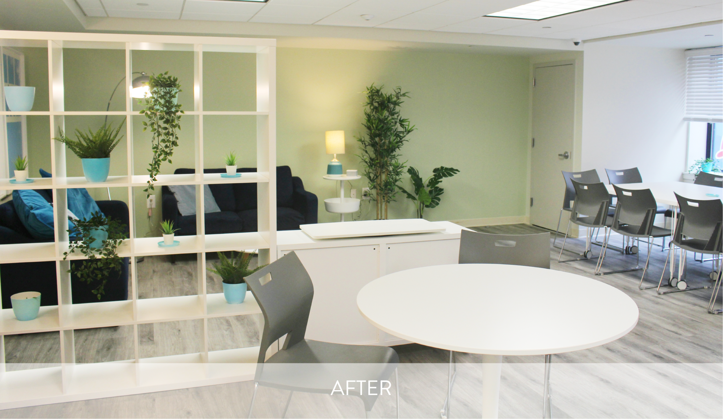 Barrier Free Living After