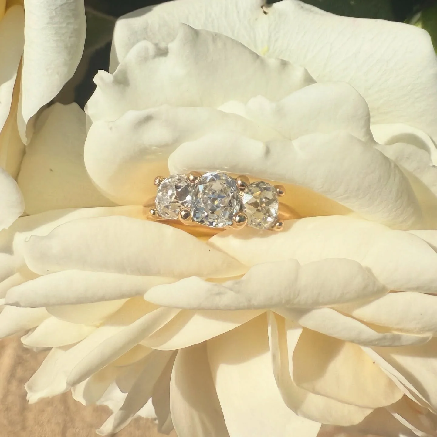 This breathtaking 3-stone diamond engagement ring is truly one-of-a-kind! We're honored to have played a part in its creation. 18ct yellow gold and three stunning diamonds - the perfect symbols of your enduring love. Congratulations again.