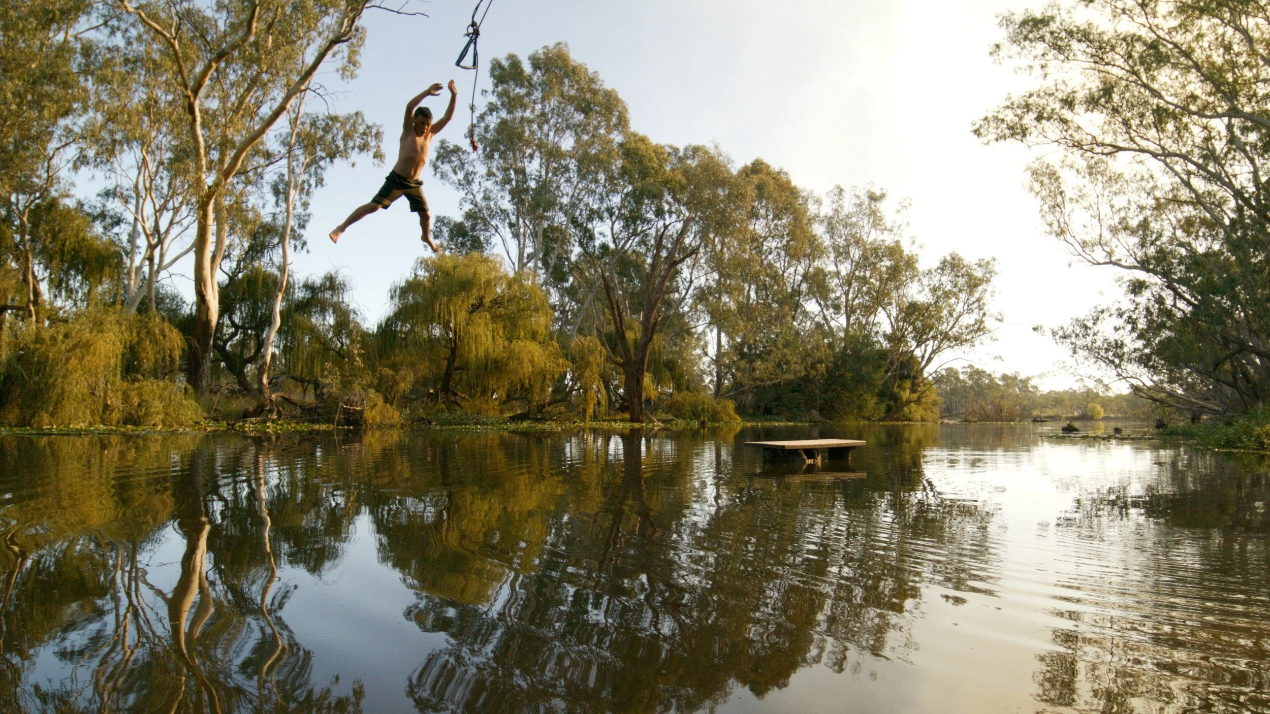 A person jumping into a body of water from a platform with a zip line hanging from a tree branch, surrounded by tall trees and reflections on the water surface.