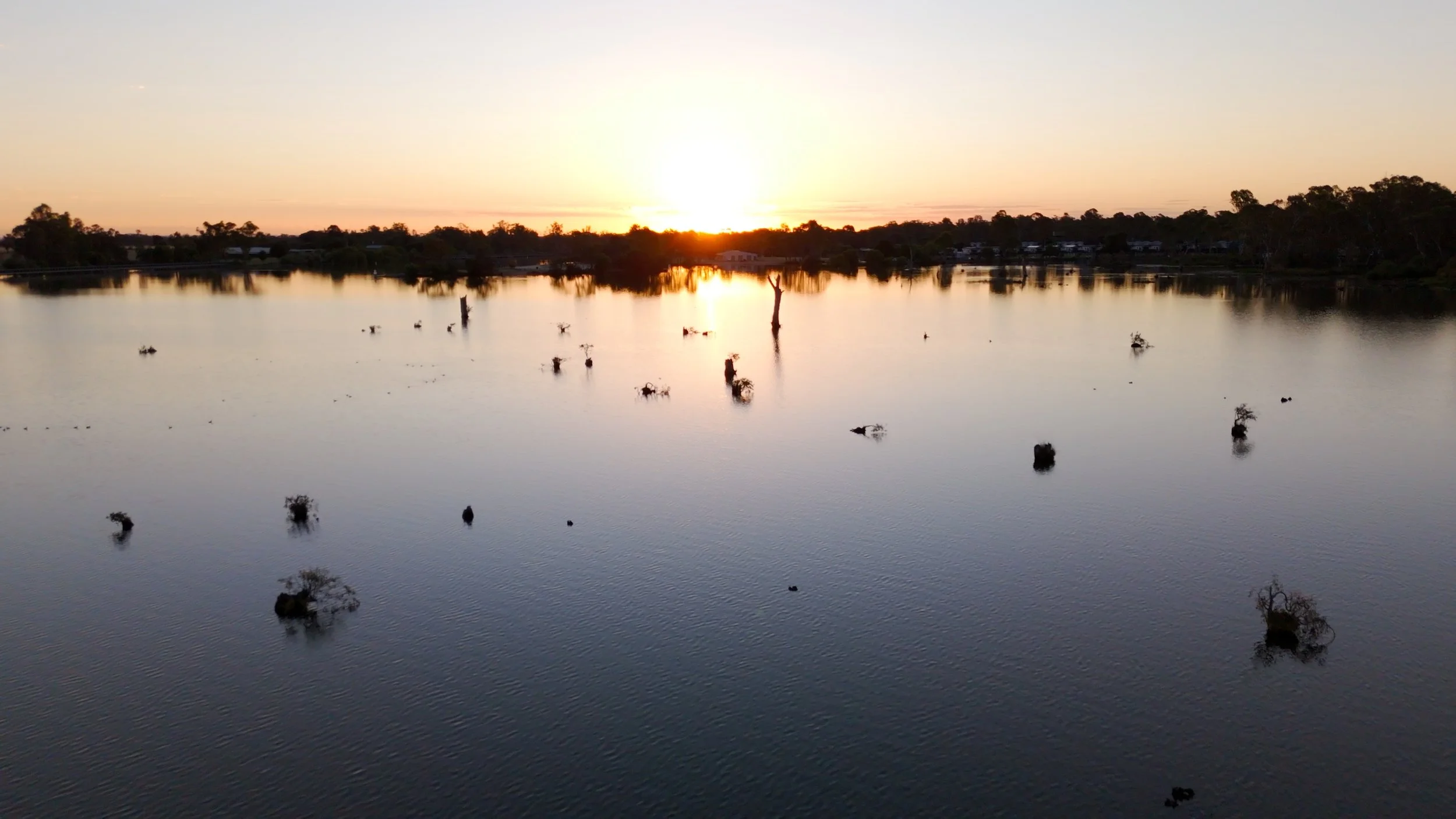 Lake Nagambie water trees.jpg
