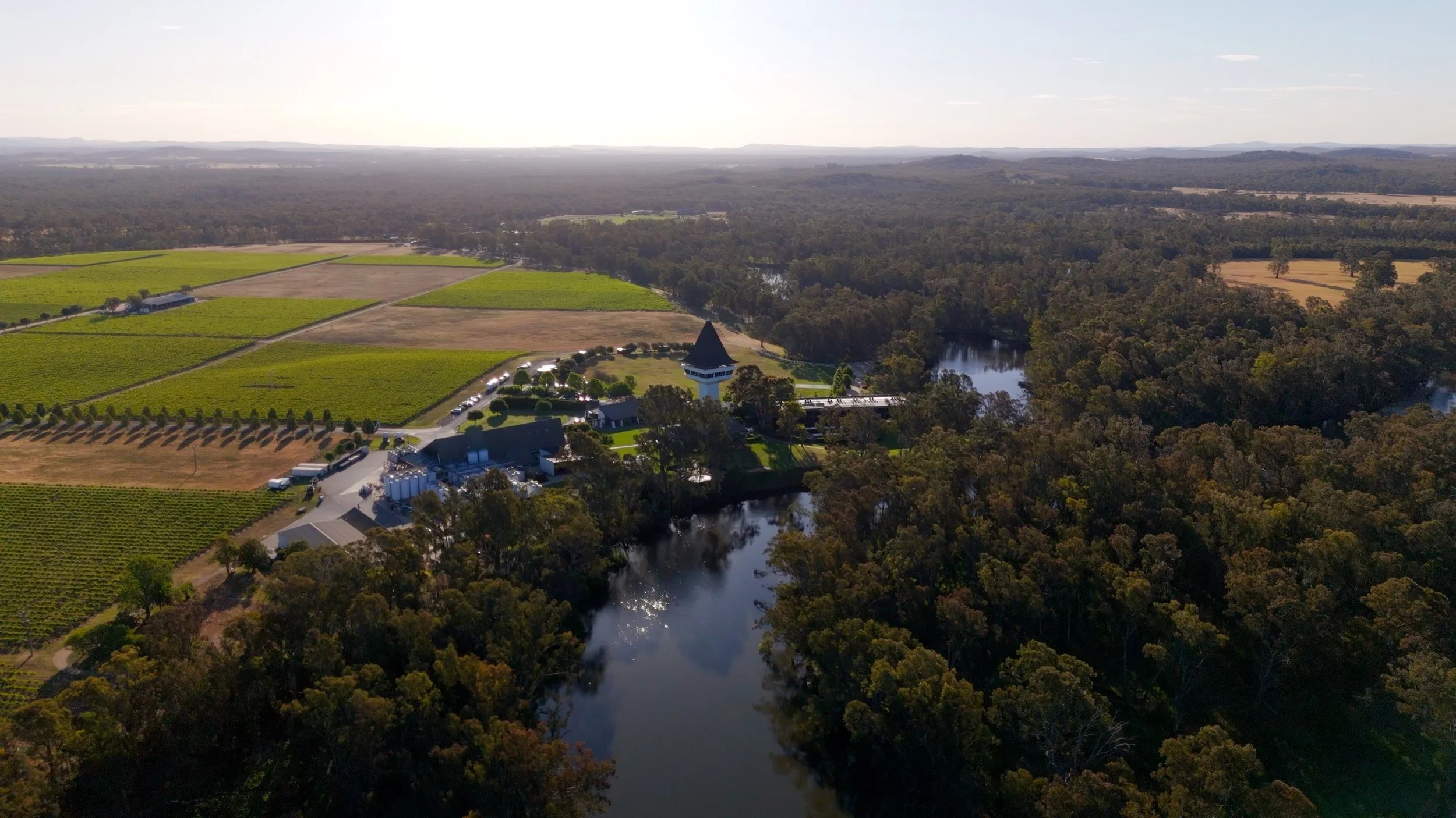 Mitchelton Wines.jpg