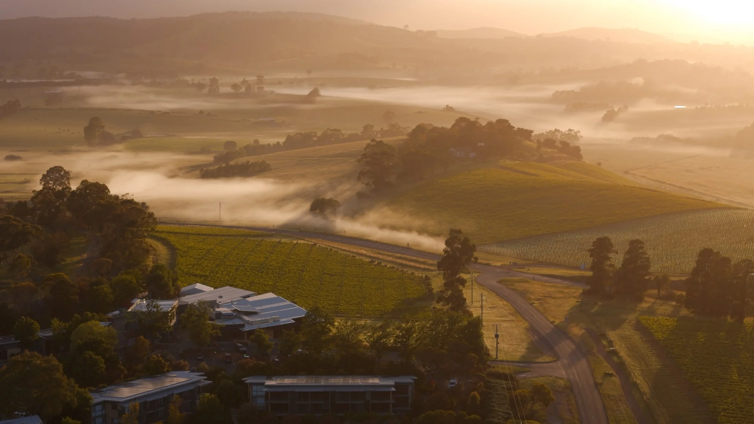 BALGOWNIE ESTATE SELECTS 2.jpg