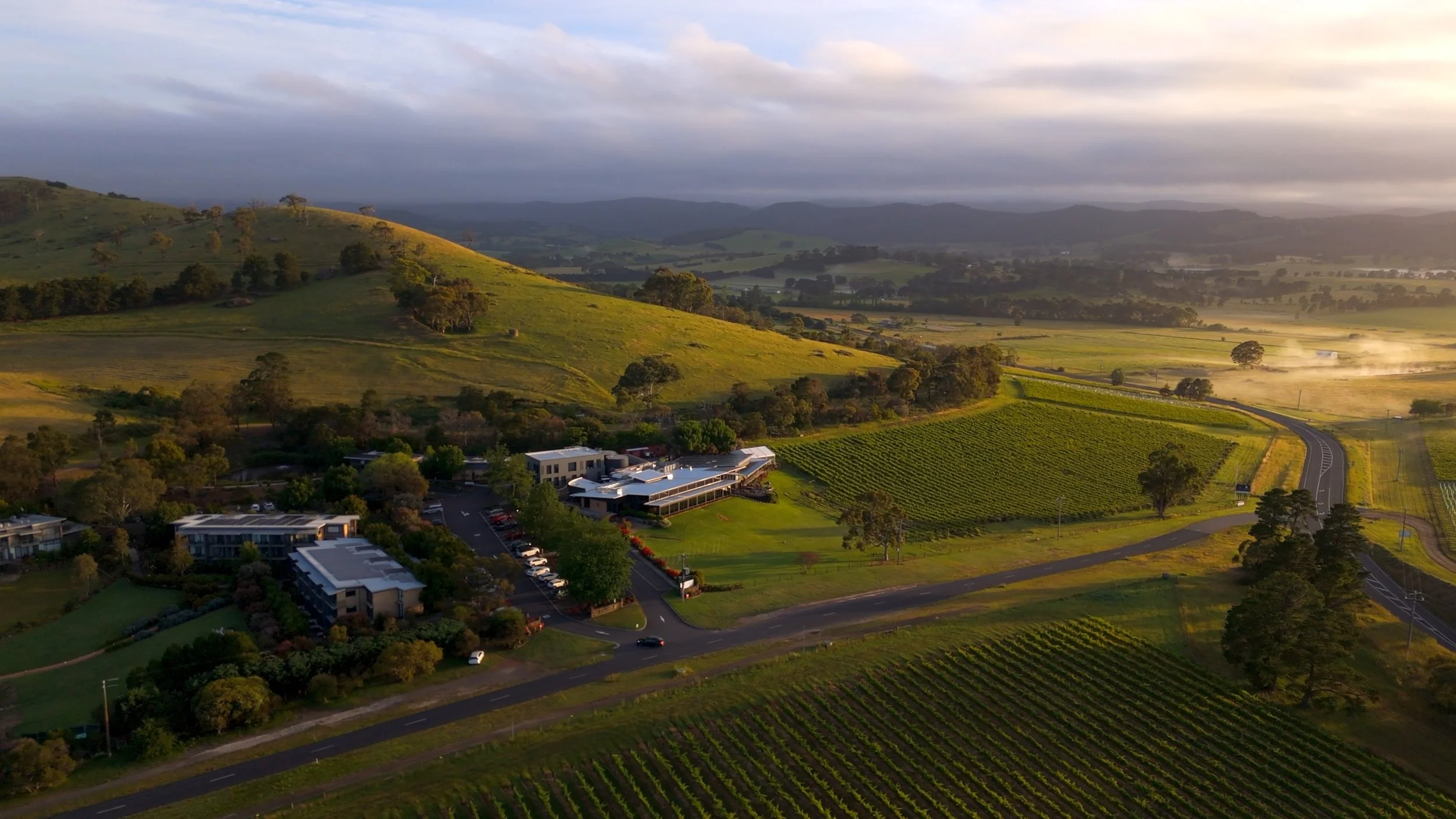BALGOWNIE ESTATE_VEHICLE ARRIVES_OLLIEPOPS STUDIOS.jpg