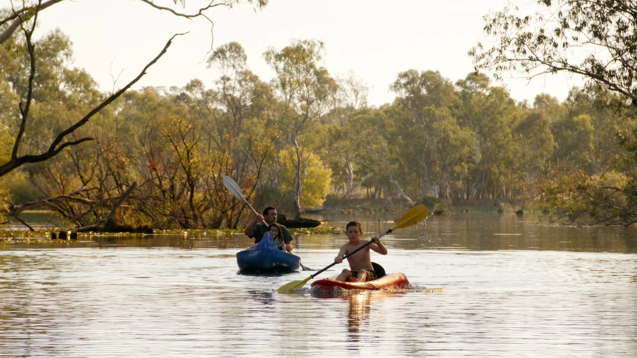 People kayaking and canoeing on a river surrounded by trees.