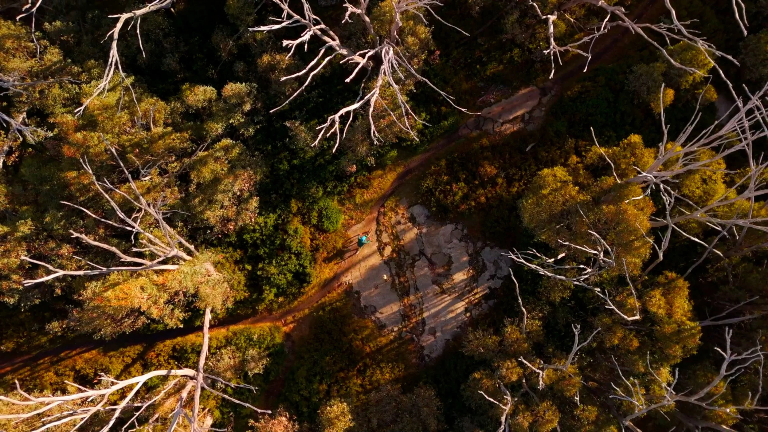 Birds Eye View Biking.jpg