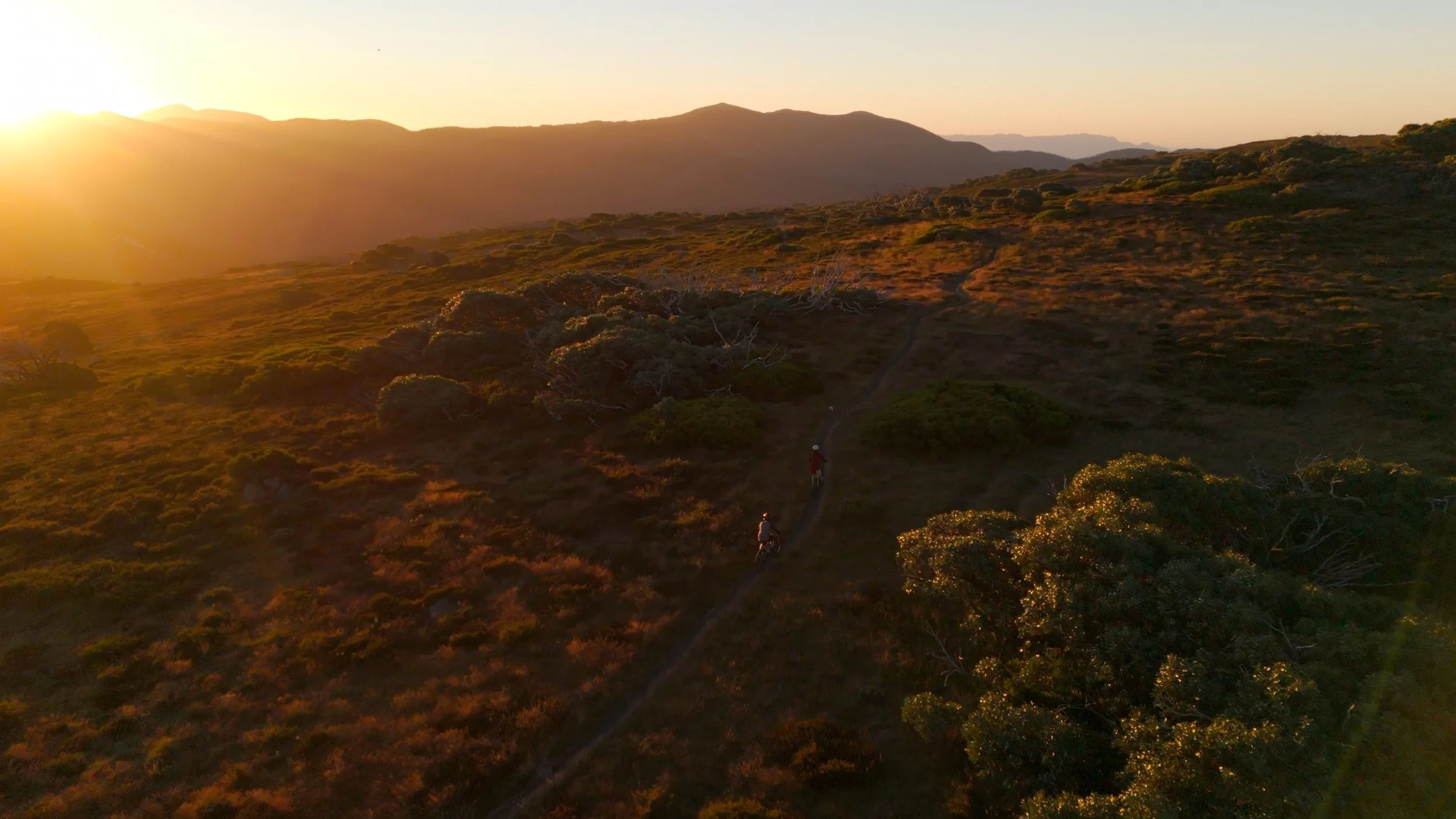 sunset biking.jpg