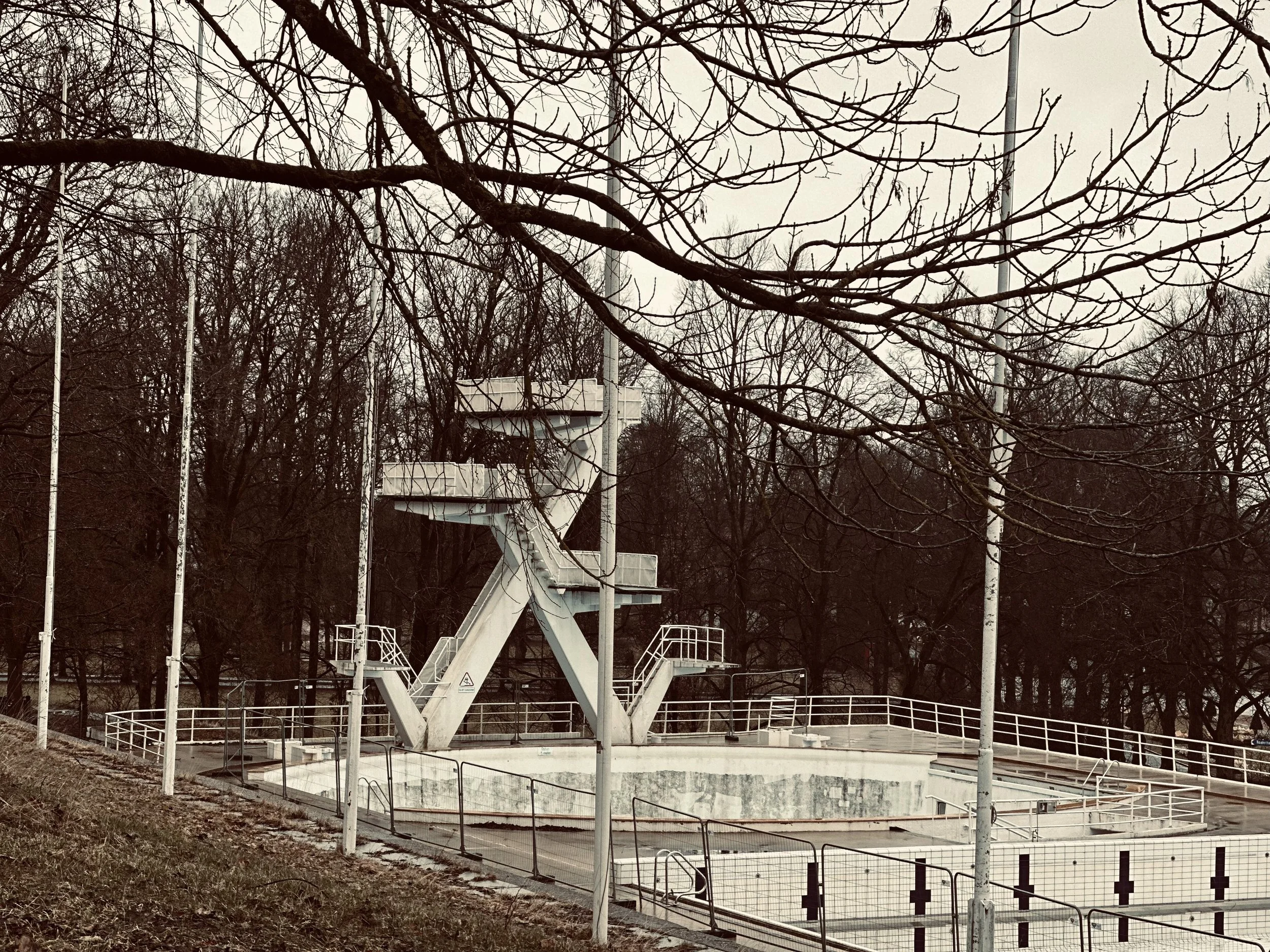 IMG_0209.jpeg