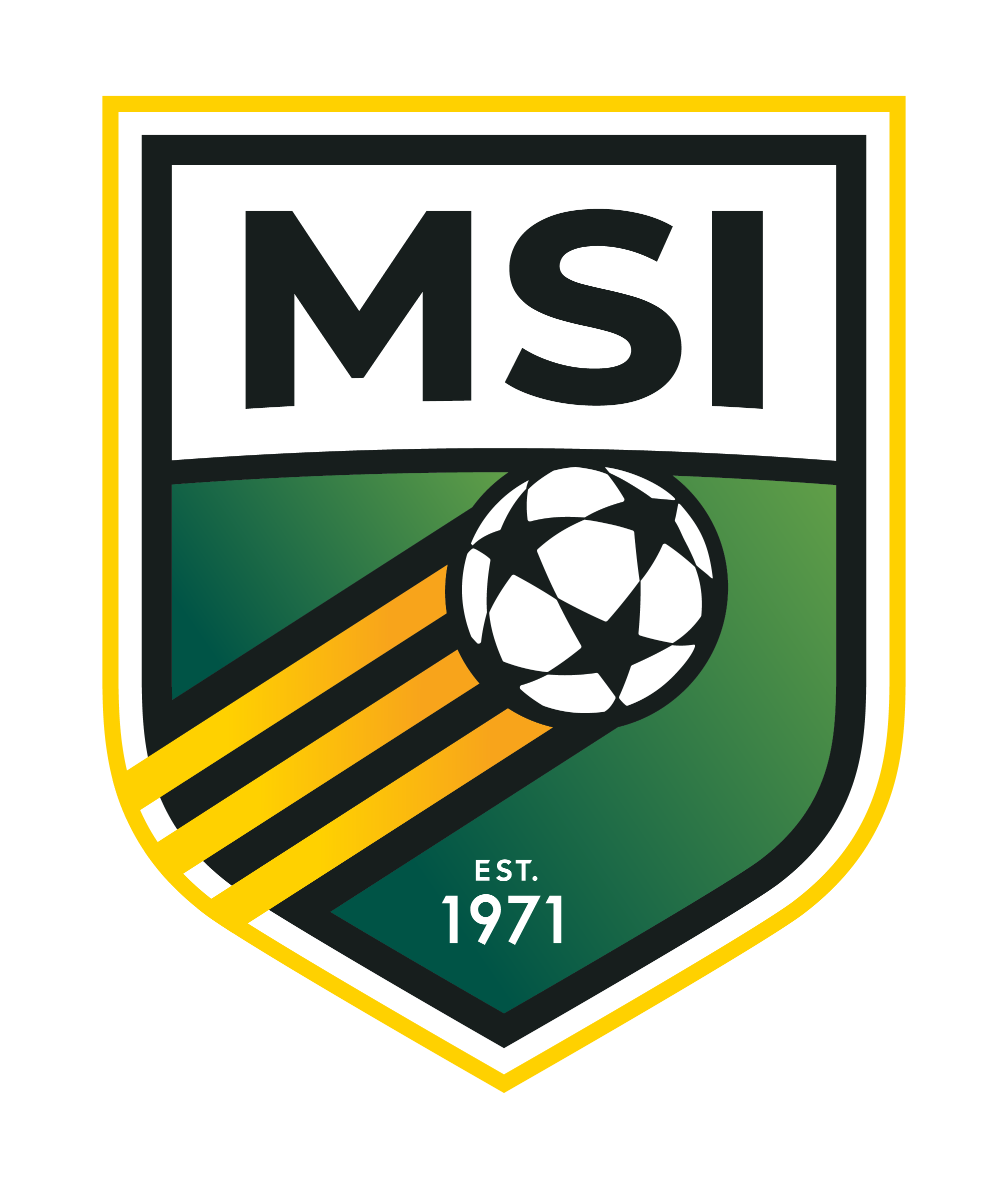 16-MSI-logo_RGB_2376pxH (2).png