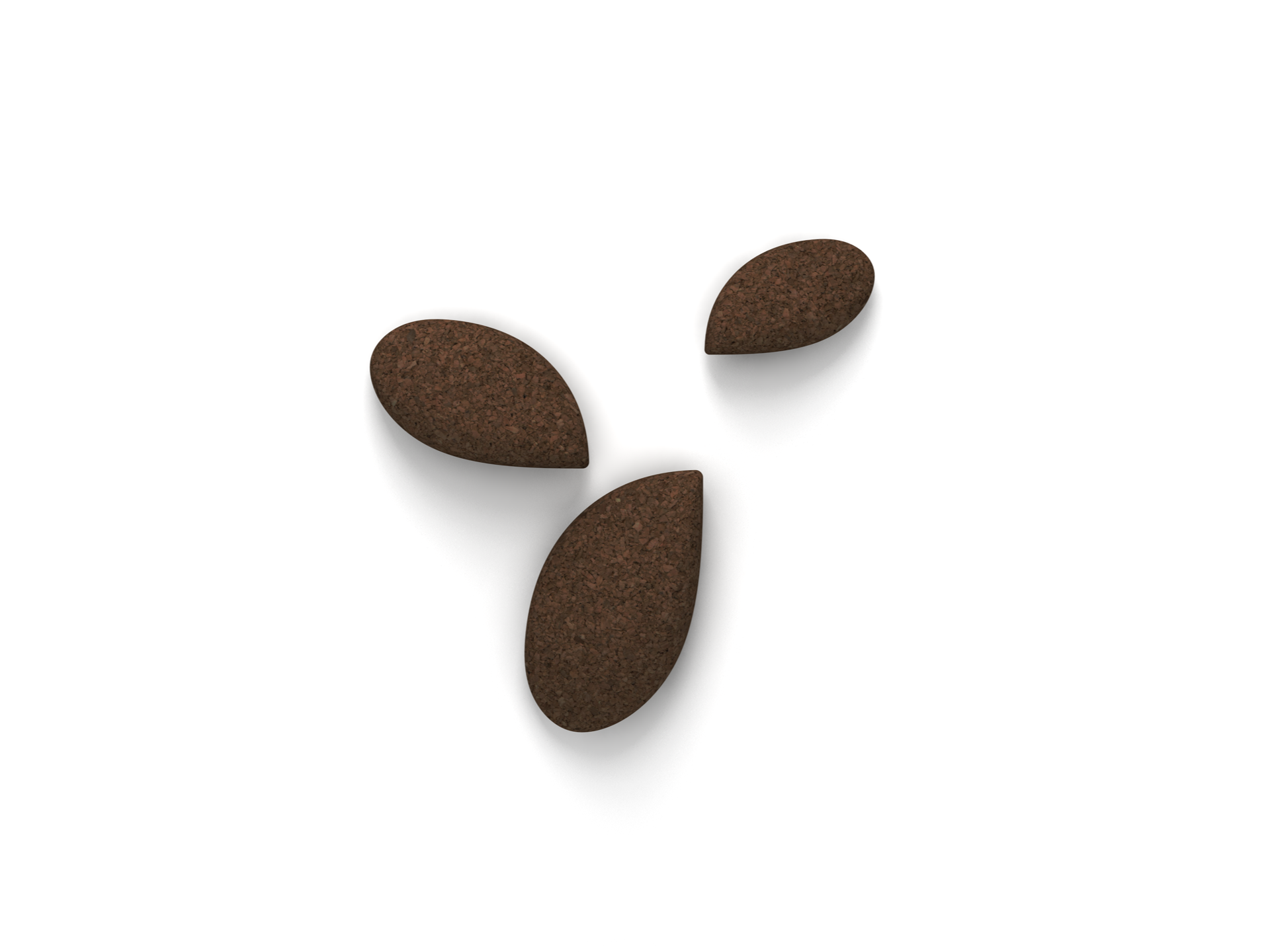36_petals_edited 4-3.png